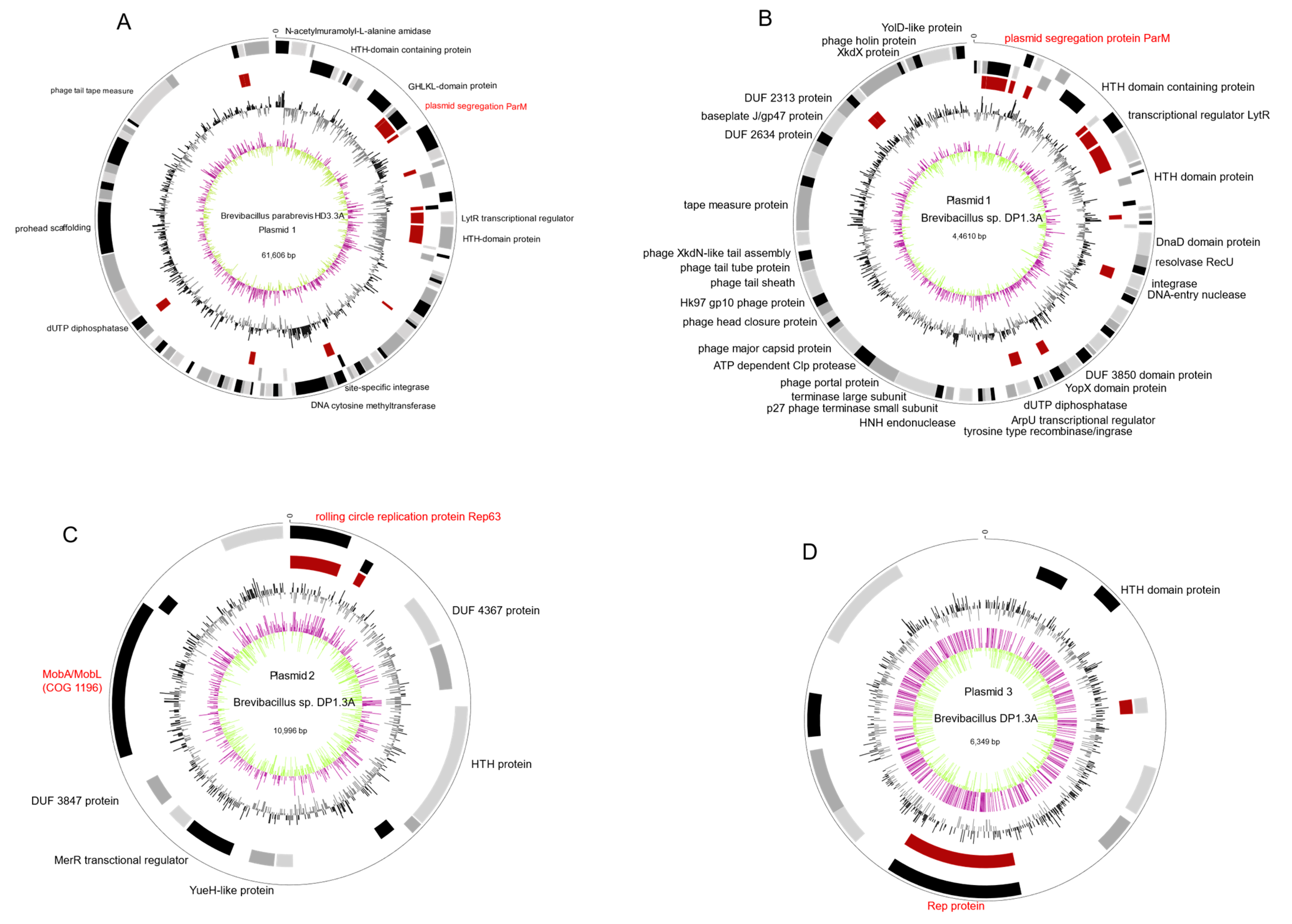 Microorganisms 11 00168 g002