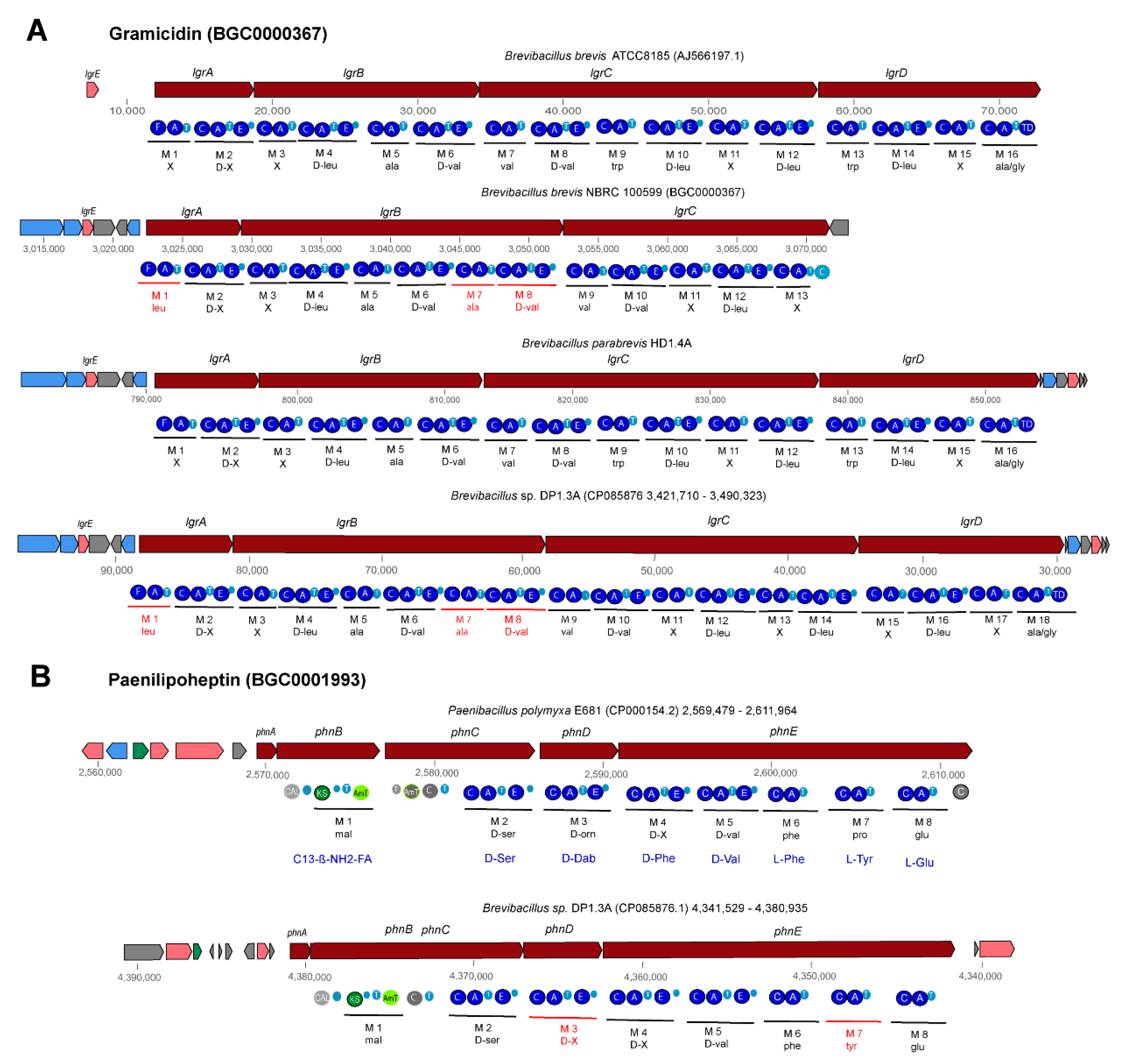 Microorganisms 11 00168 g008