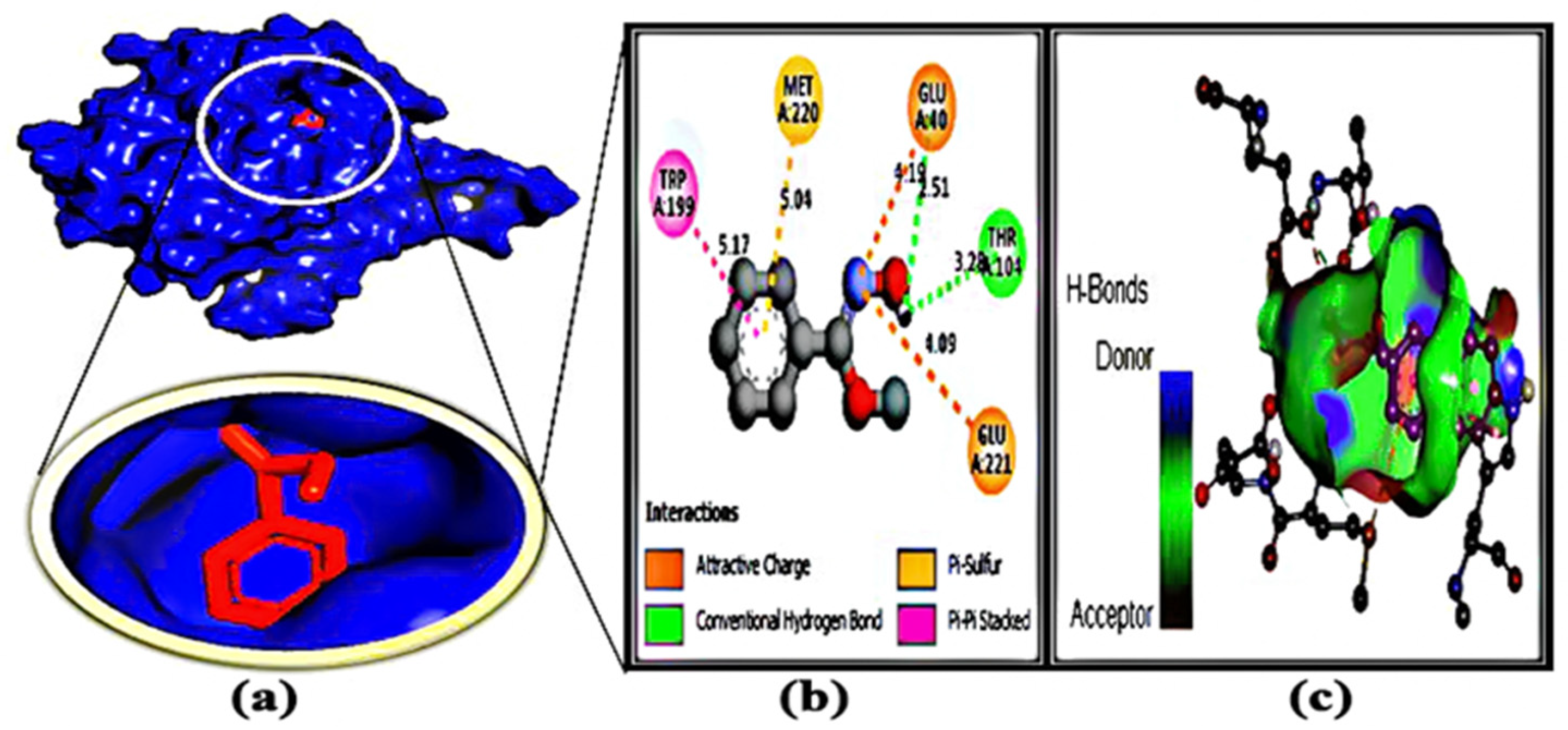 Microorganisms 11 00172 g005