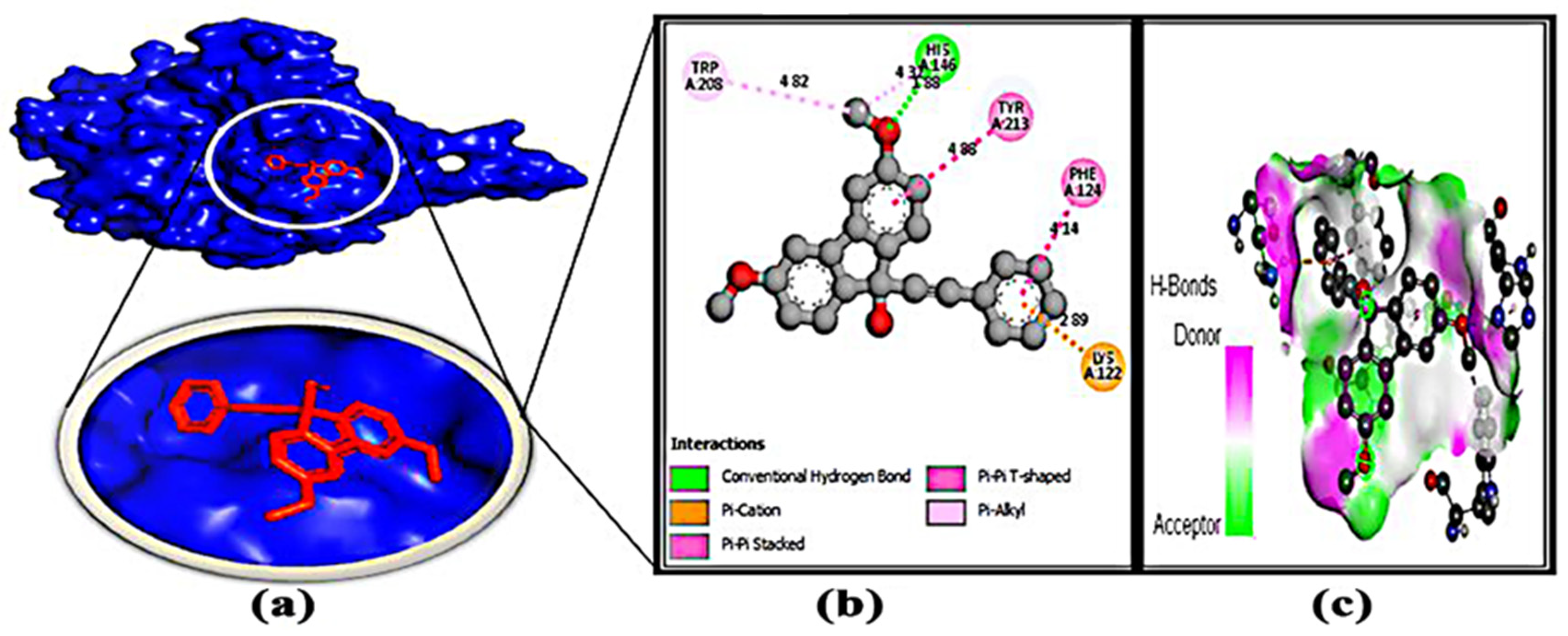 Microorganisms 11 00172 g006