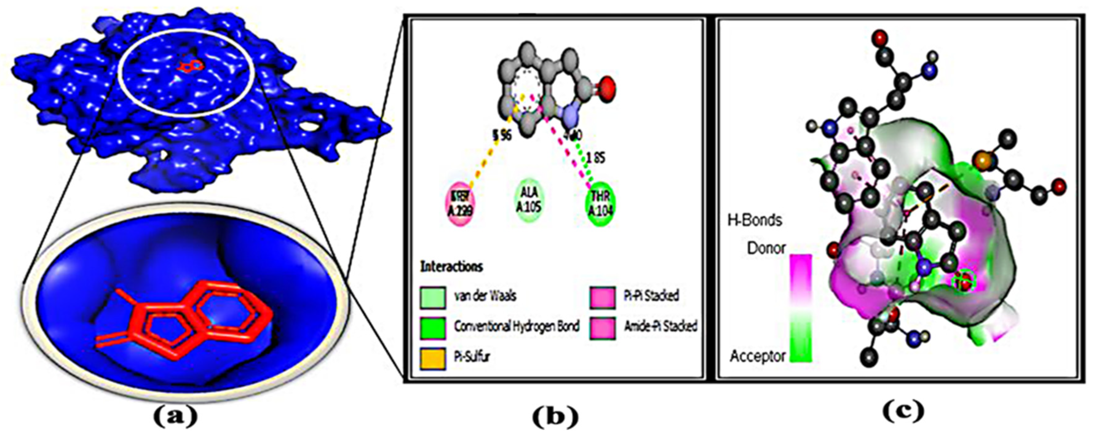Microorganisms 11 00172 g007