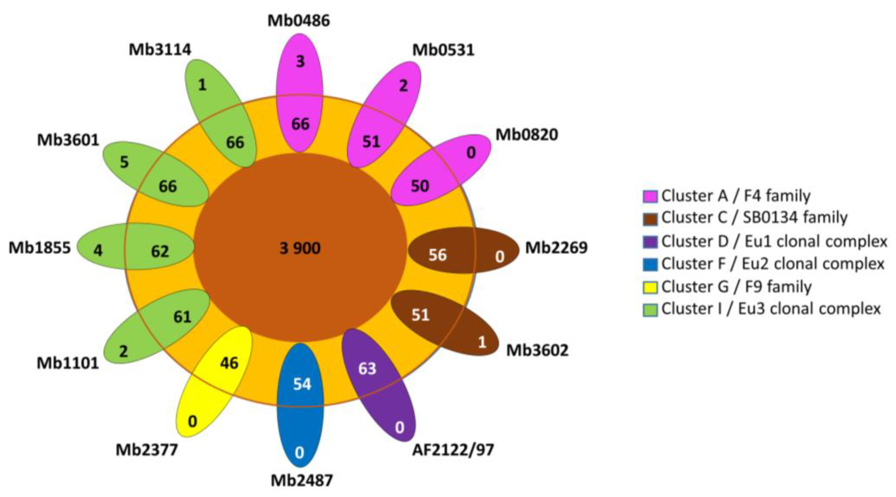 Microorganisms 11 00177 g002