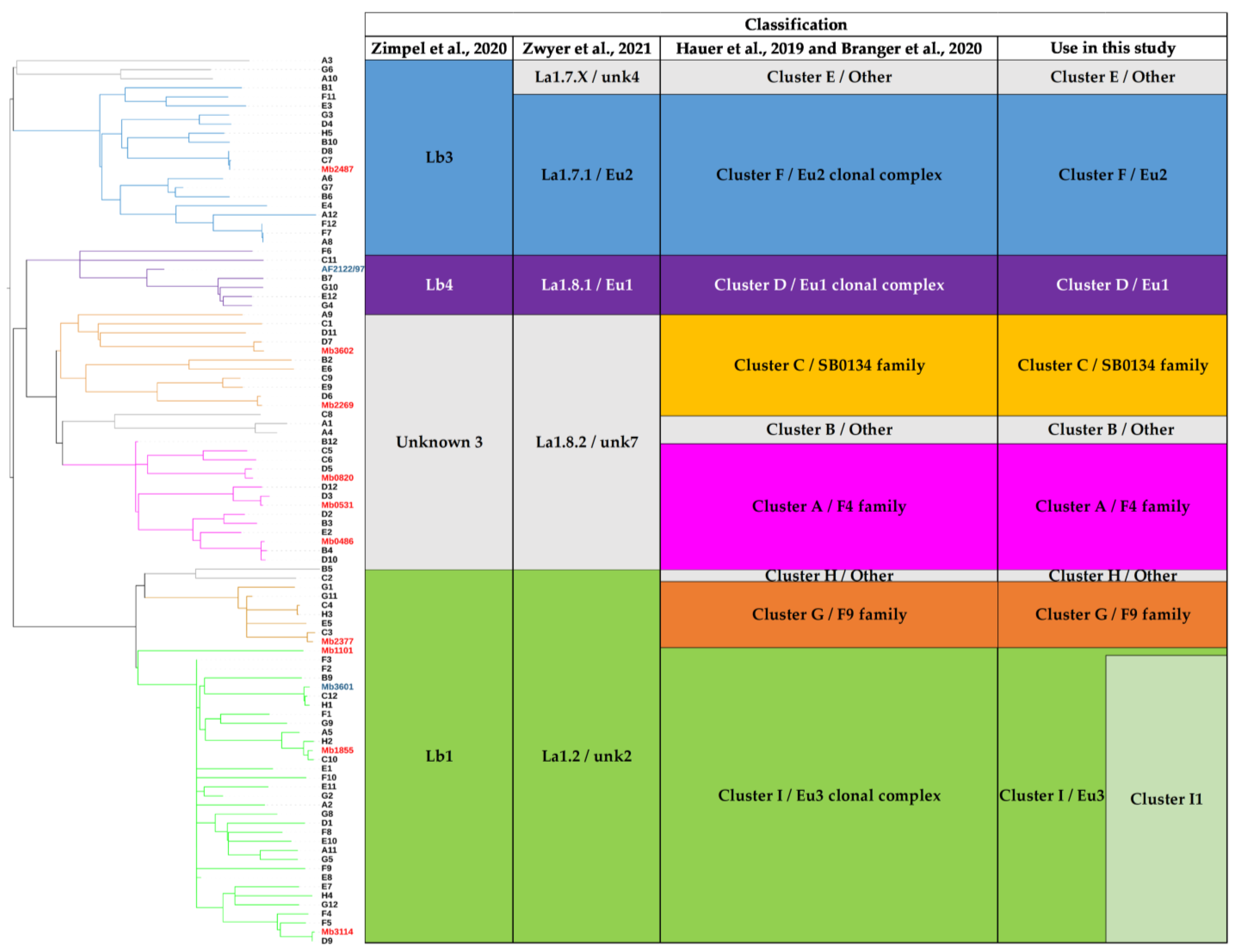 Microorganisms 11 00177 g006