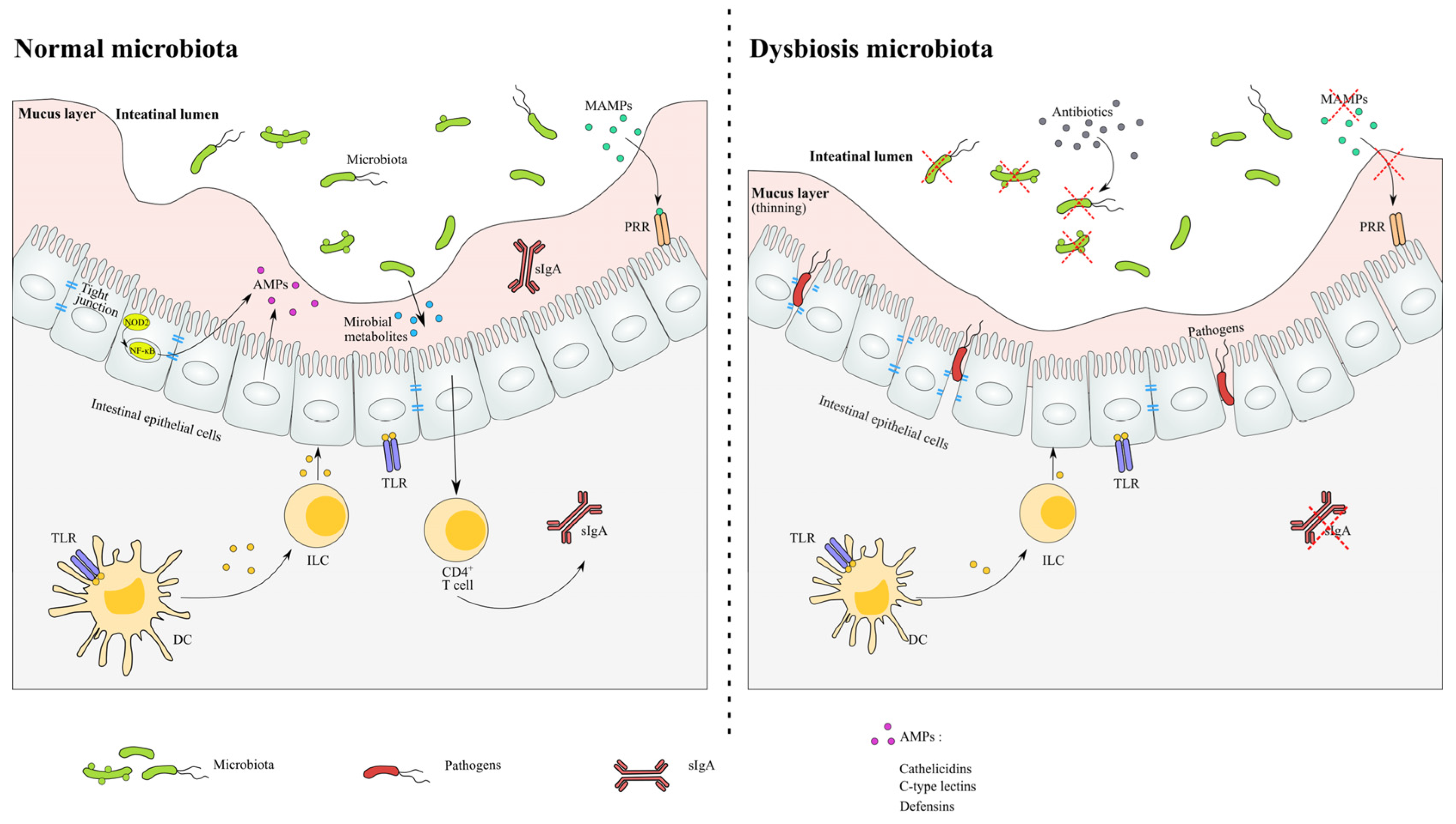 Microorganisms 11 00179 g002 Microorganisms 11 00179 g002