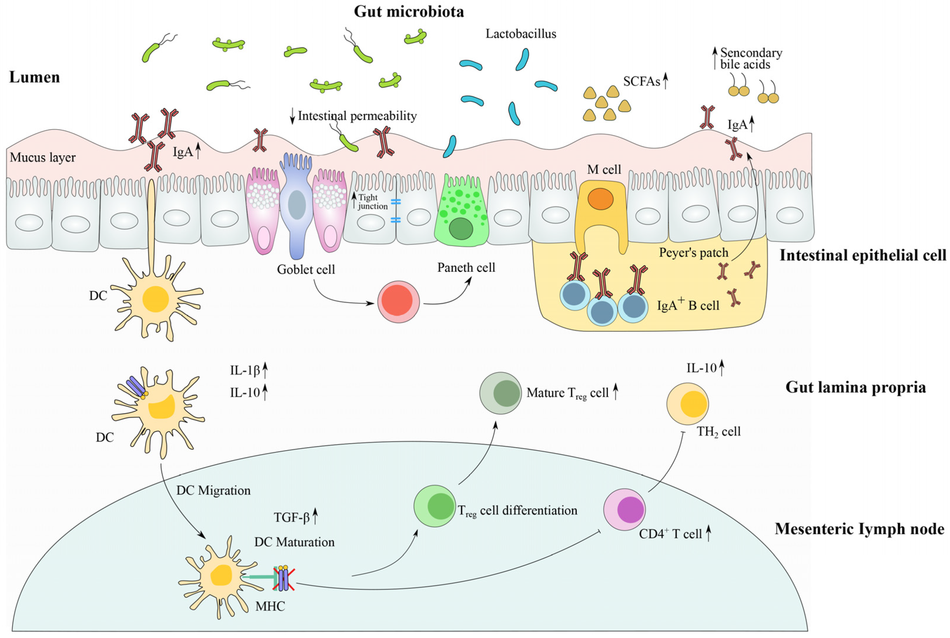 Microorganisms 11 00179 g003 Microorganisms 11 00179 g003