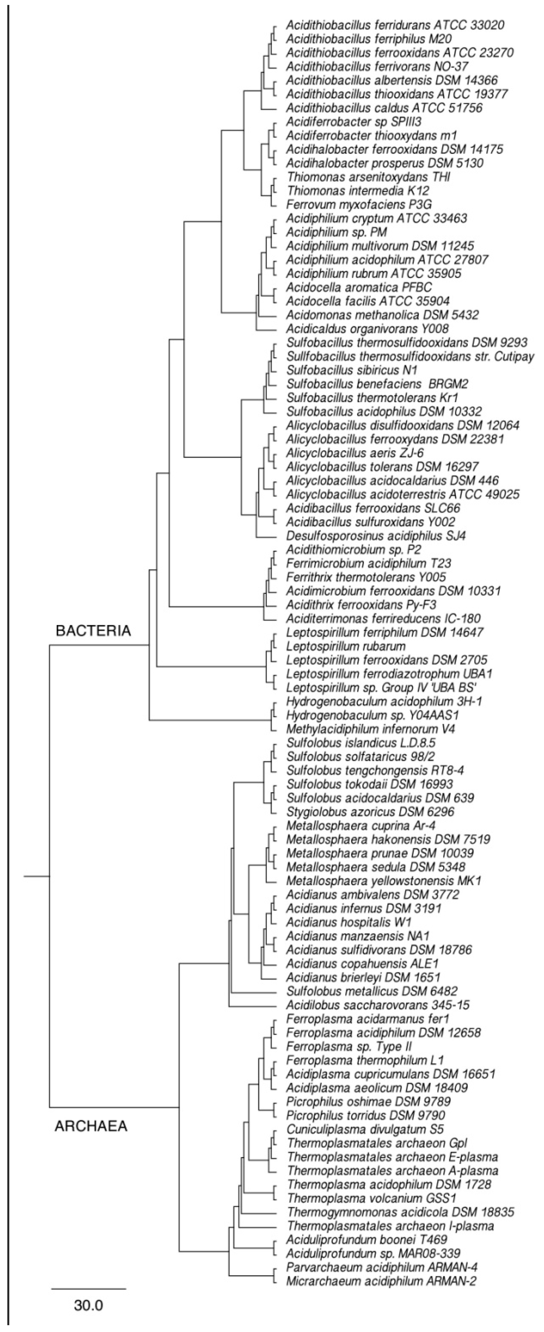 Microorganisms 11 00186 g002