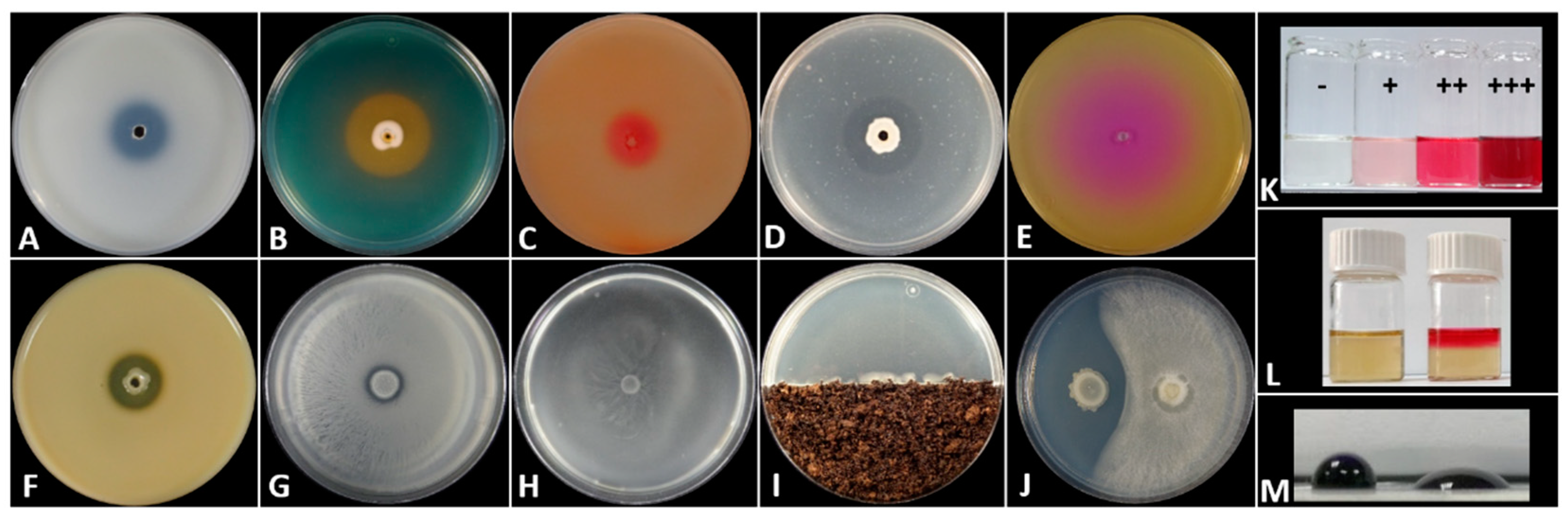 Microorganisms 11 00206 g002 Microorganisms 11 00206 g002