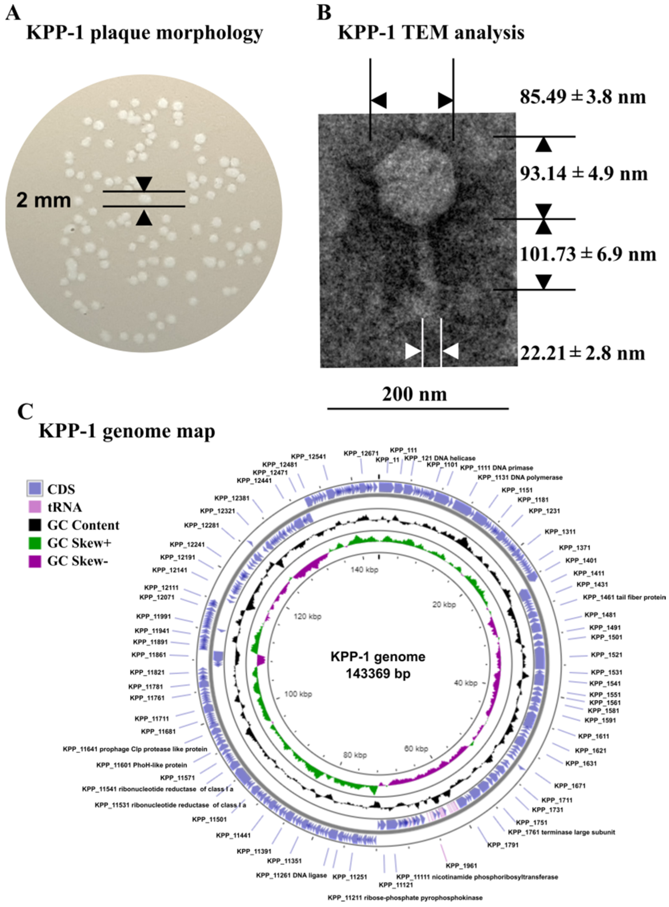 Microorganisms 11 00207 g001 Microorganisms 11 00207 g001