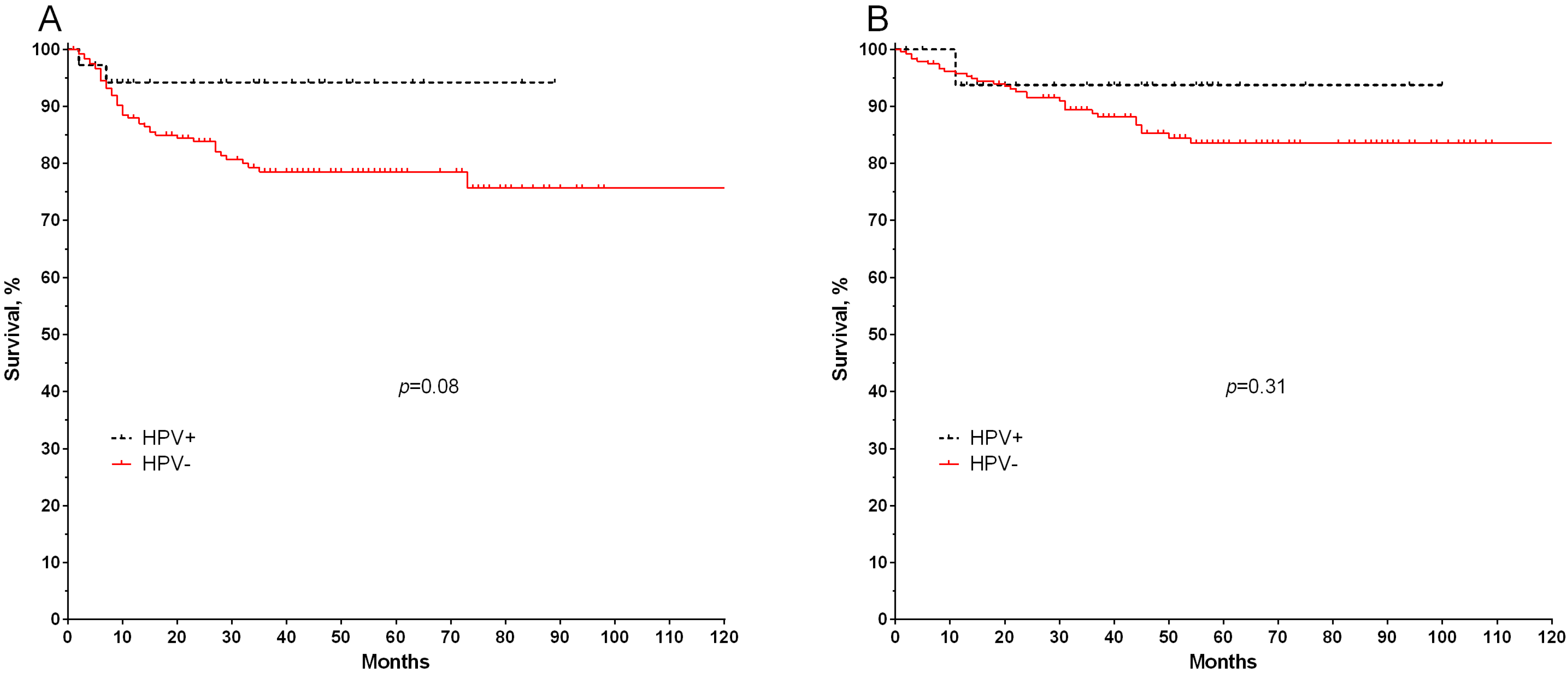 Microorganisms 11 00212 g003