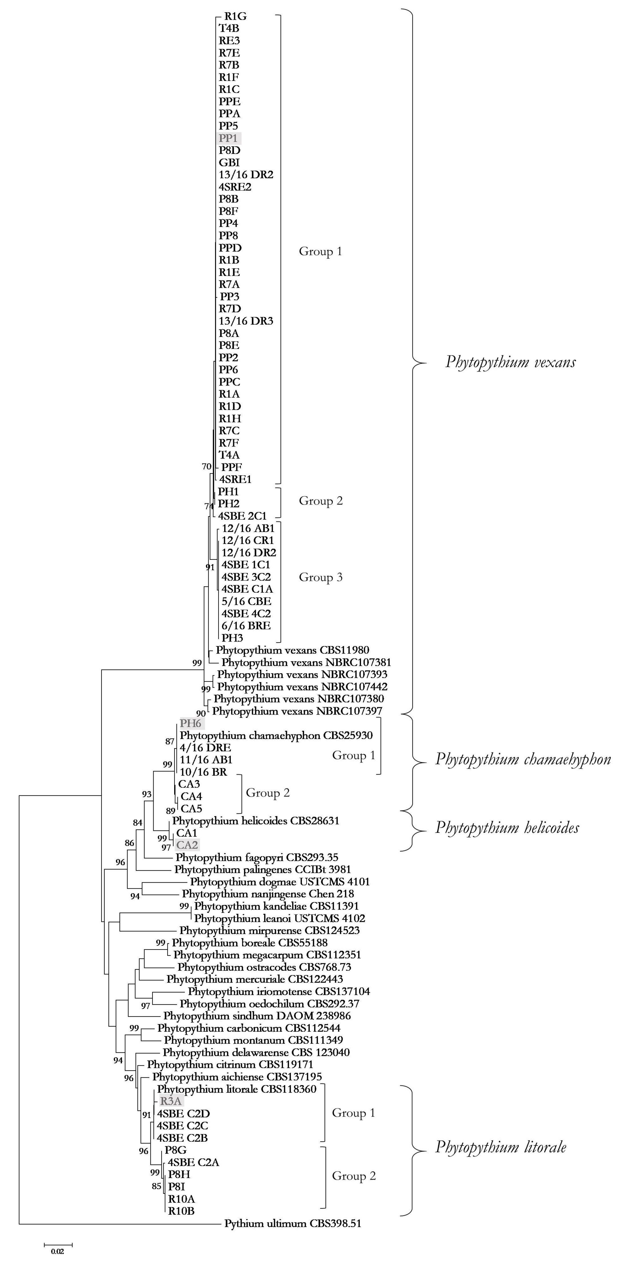 Microorganisms 11 00216 g002