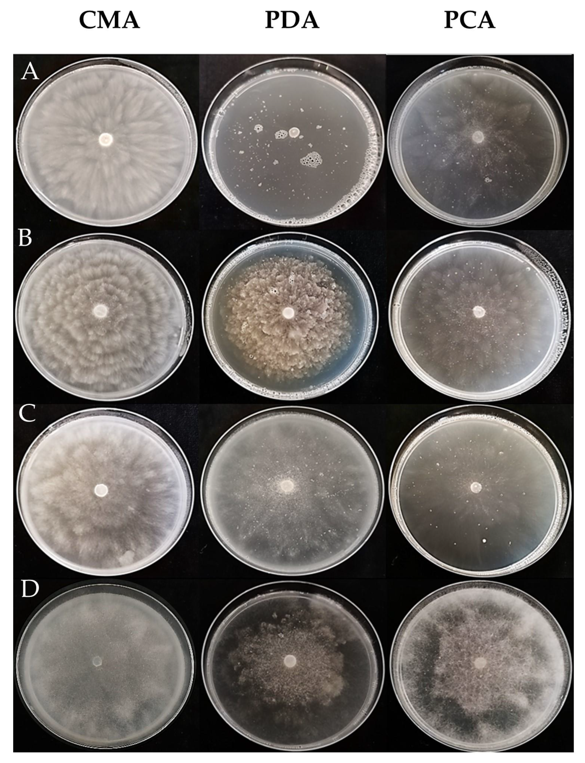 Microorganisms 11 00216 g003