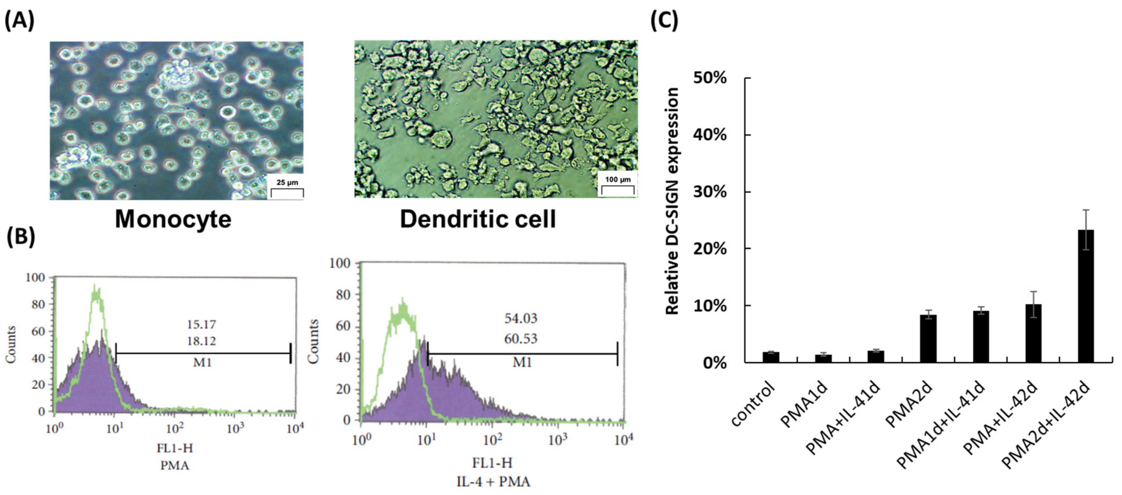 Microorganisms 11 00247 g001