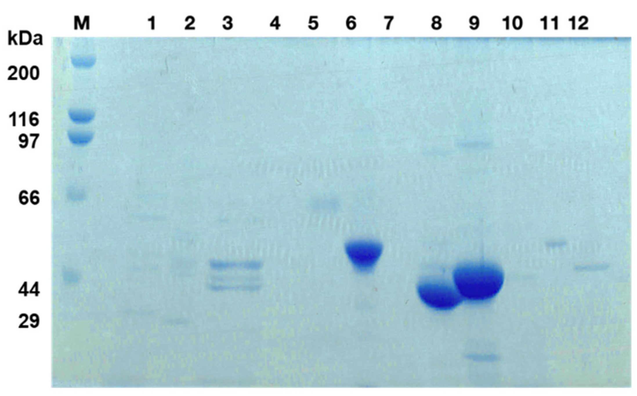 Microorganisms 11 00247 g003