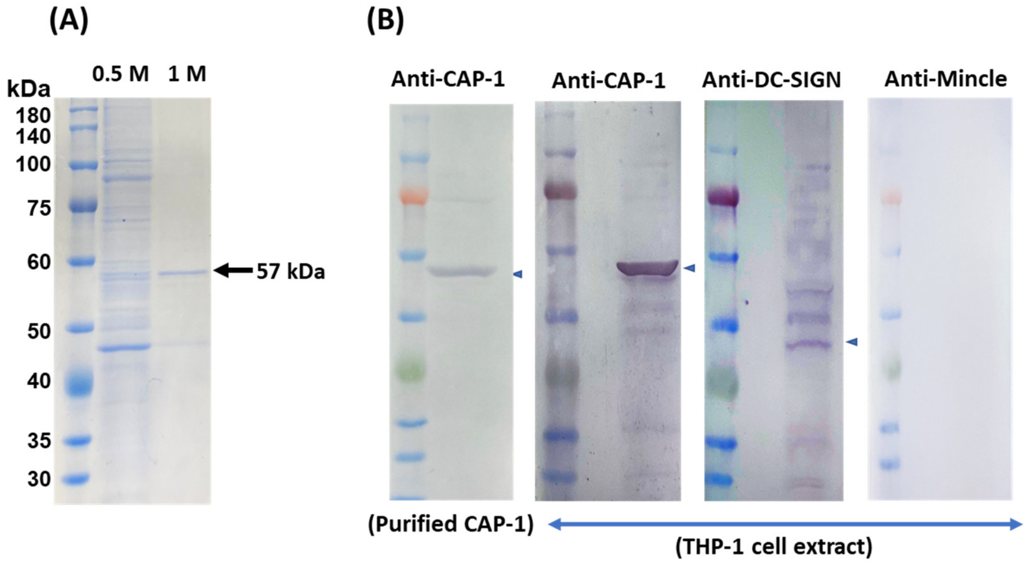 Microorganisms 11 00247 g005