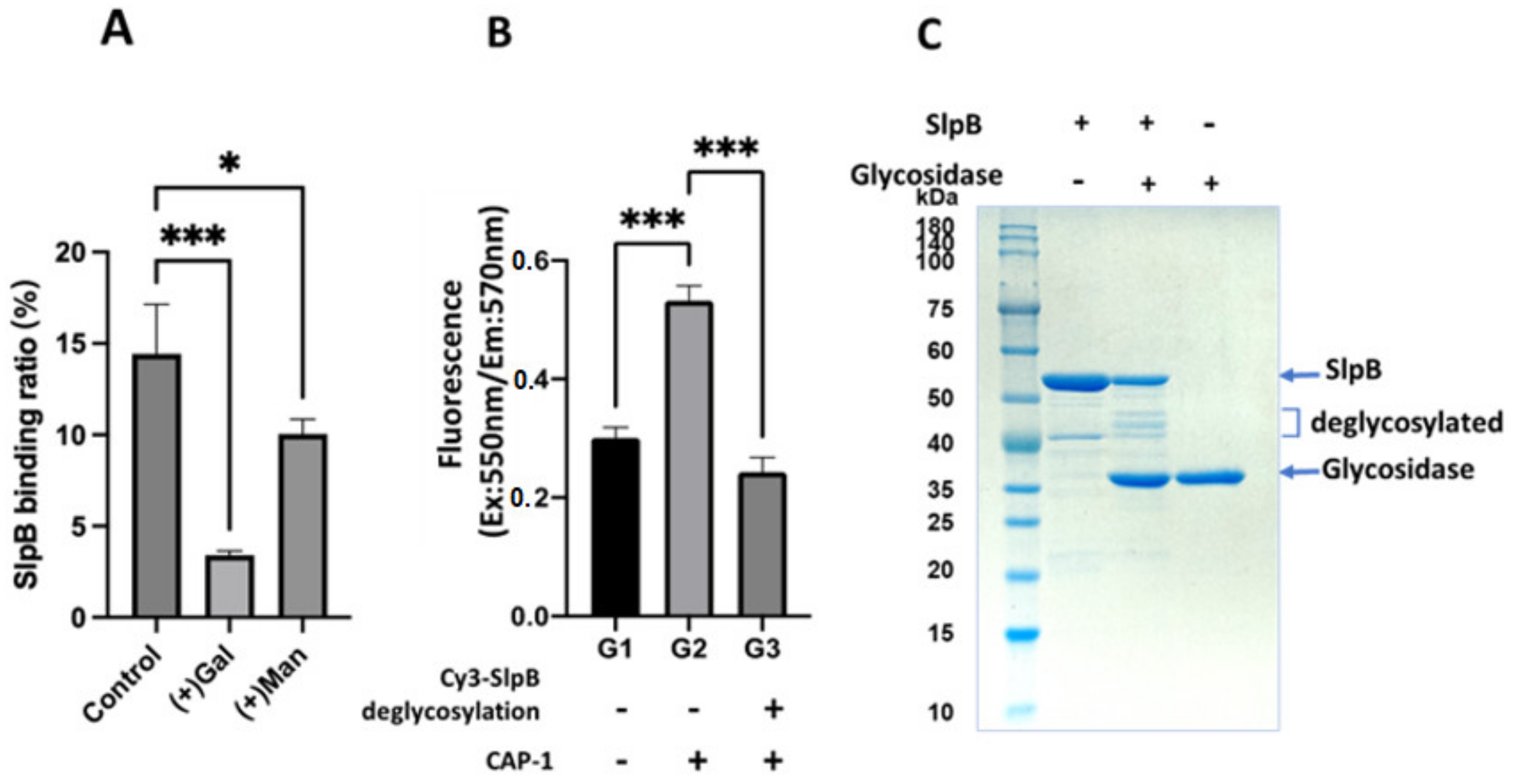 Microorganisms 11 00247 g008