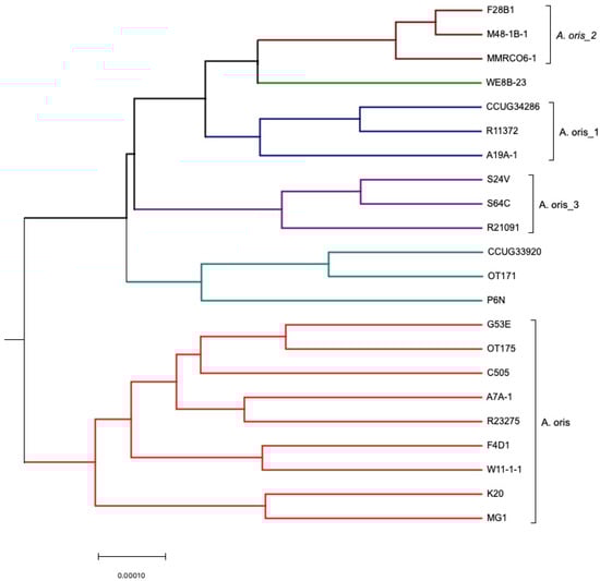 Microorganisms 11 00254 g002