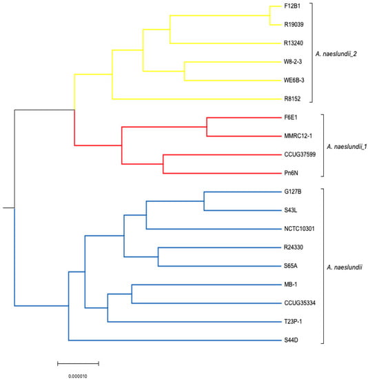 Microorganisms 11 00254 g003
