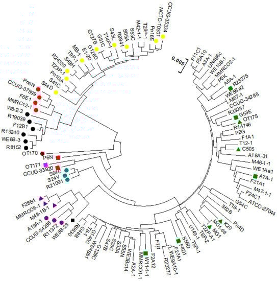 Microorganisms 11 00254 g0a1