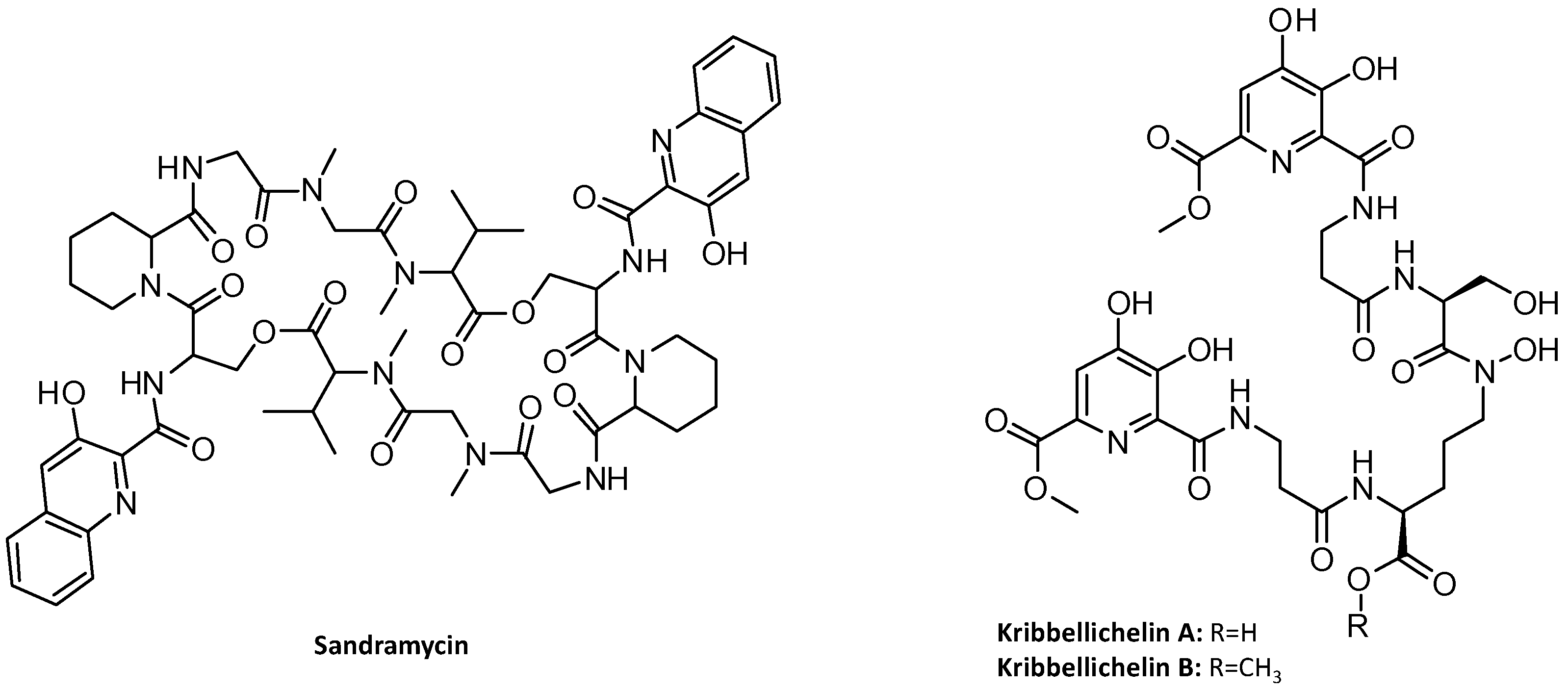 Microorganisms 11 00265 g001