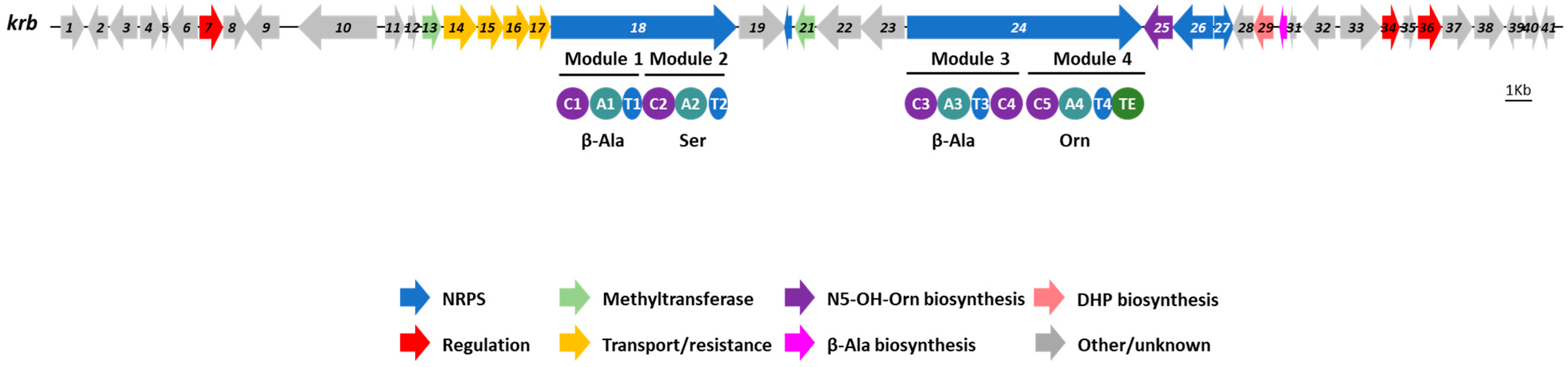 Microorganisms 11 00265 g003
