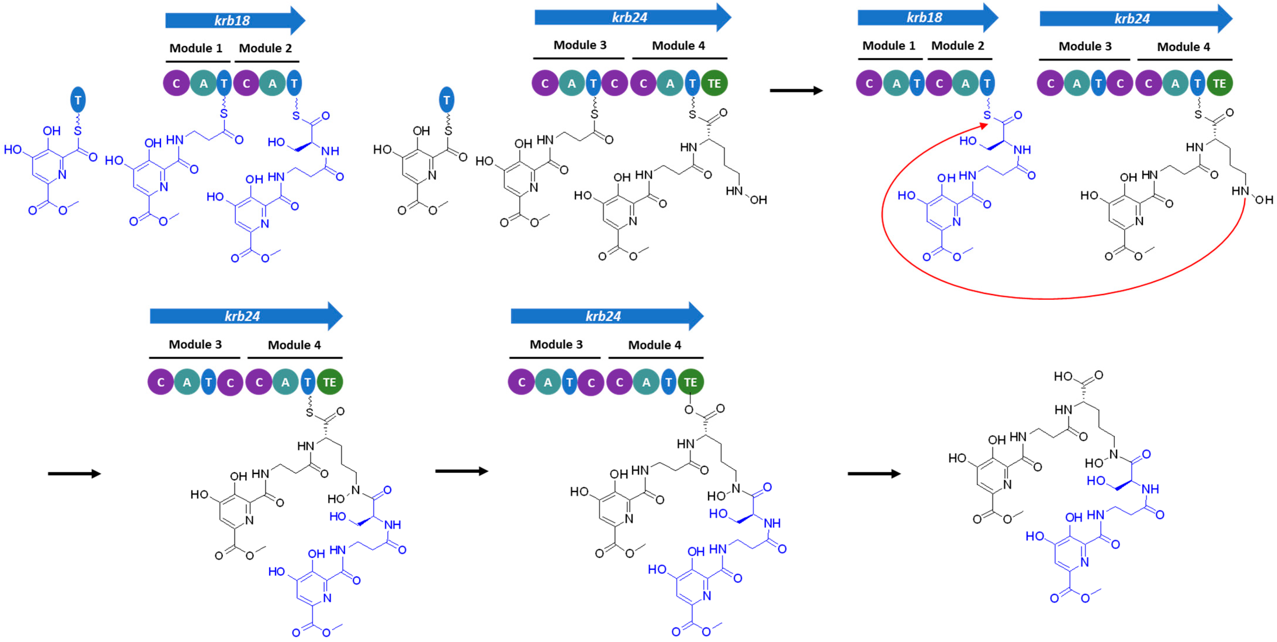 Microorganisms 11 00265 g004