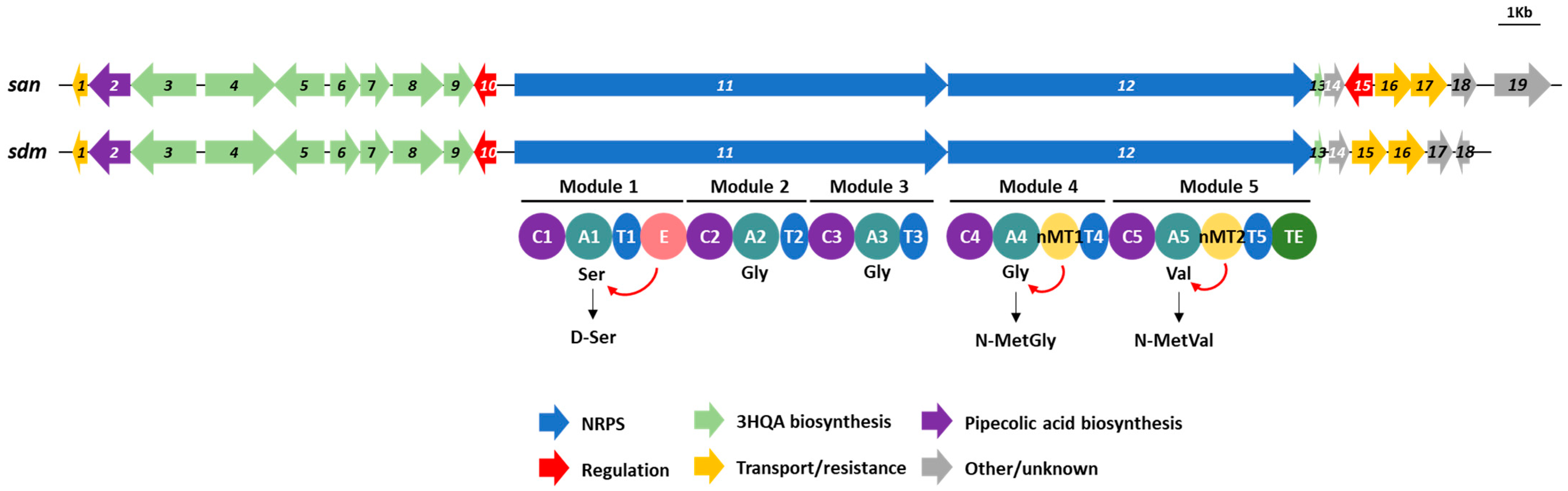 Microorganisms 11 00265 g005