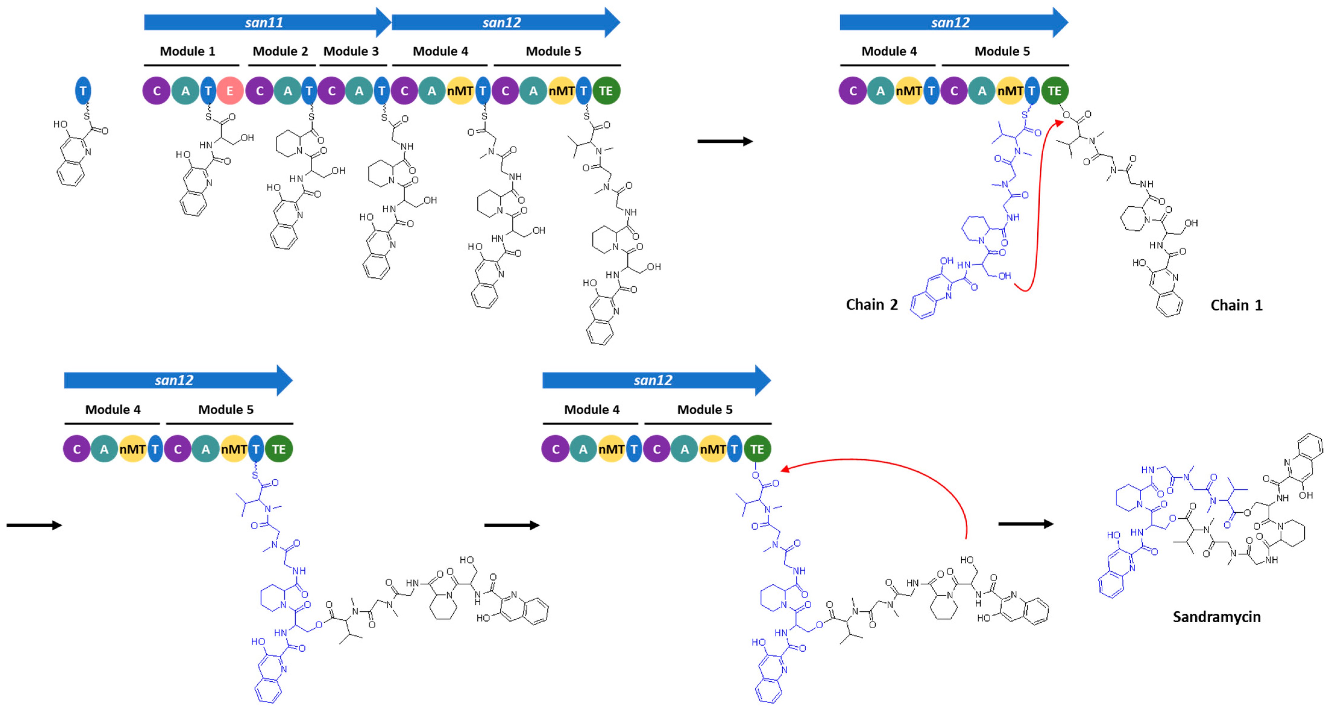 Microorganisms 11 00265 g006