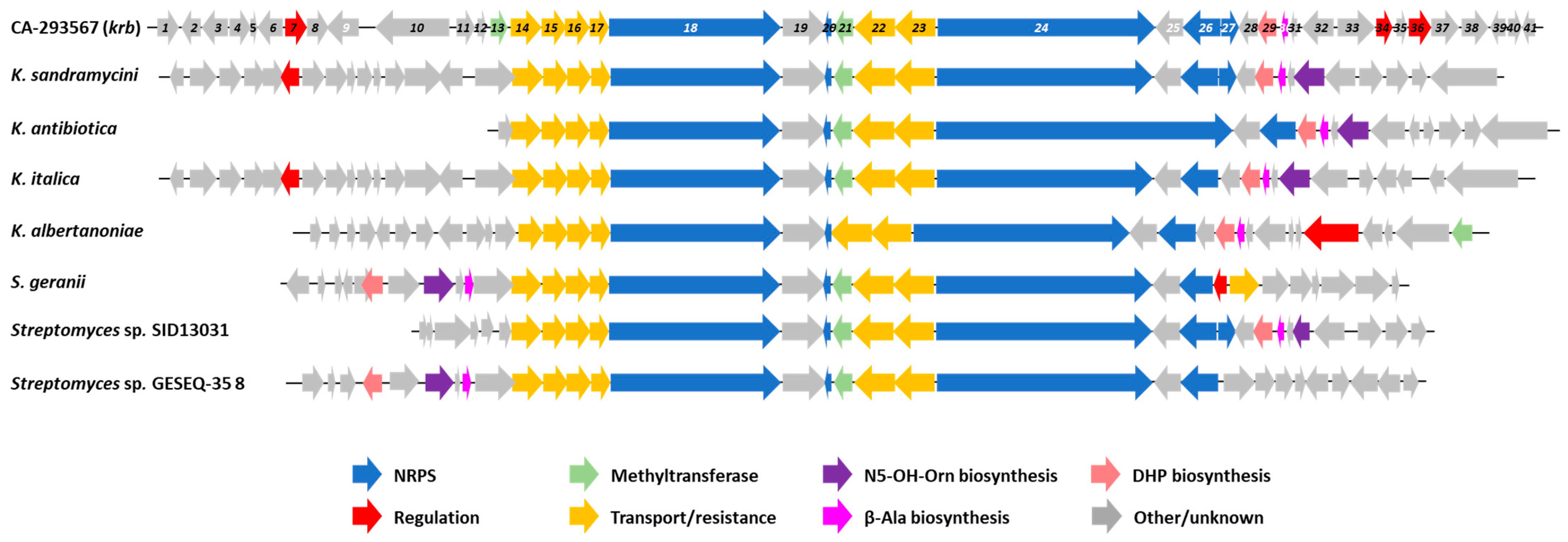 Microorganisms 11 00265 g008