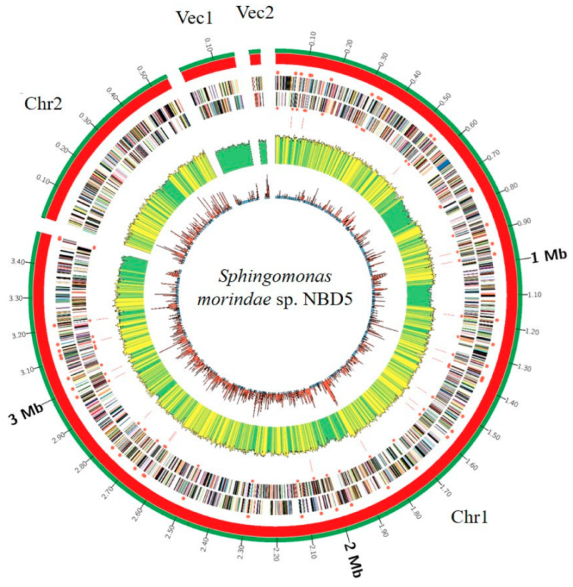 Microorganisms 11 00266 g001
