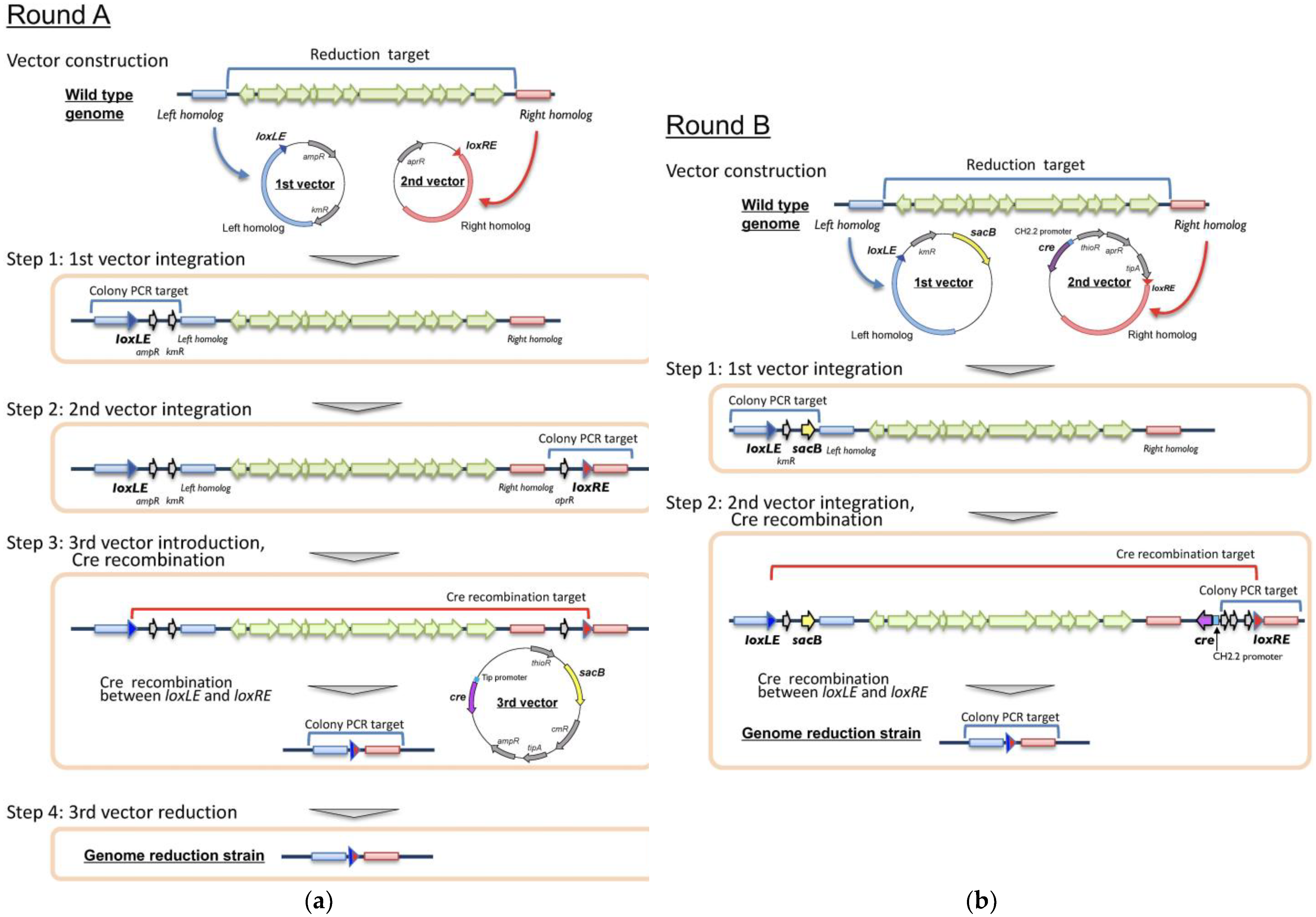 Microorganisms 11 00268 g002