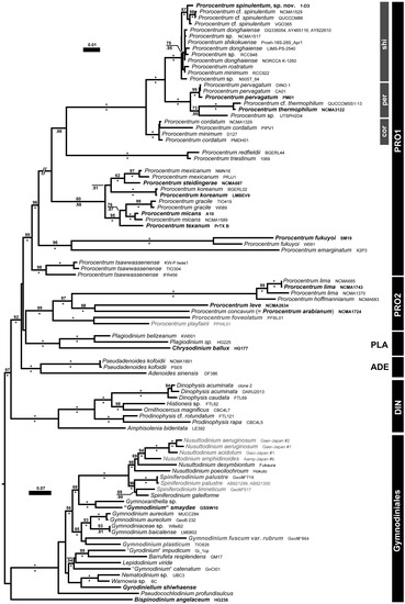 Microorganisms 11 00271 g005