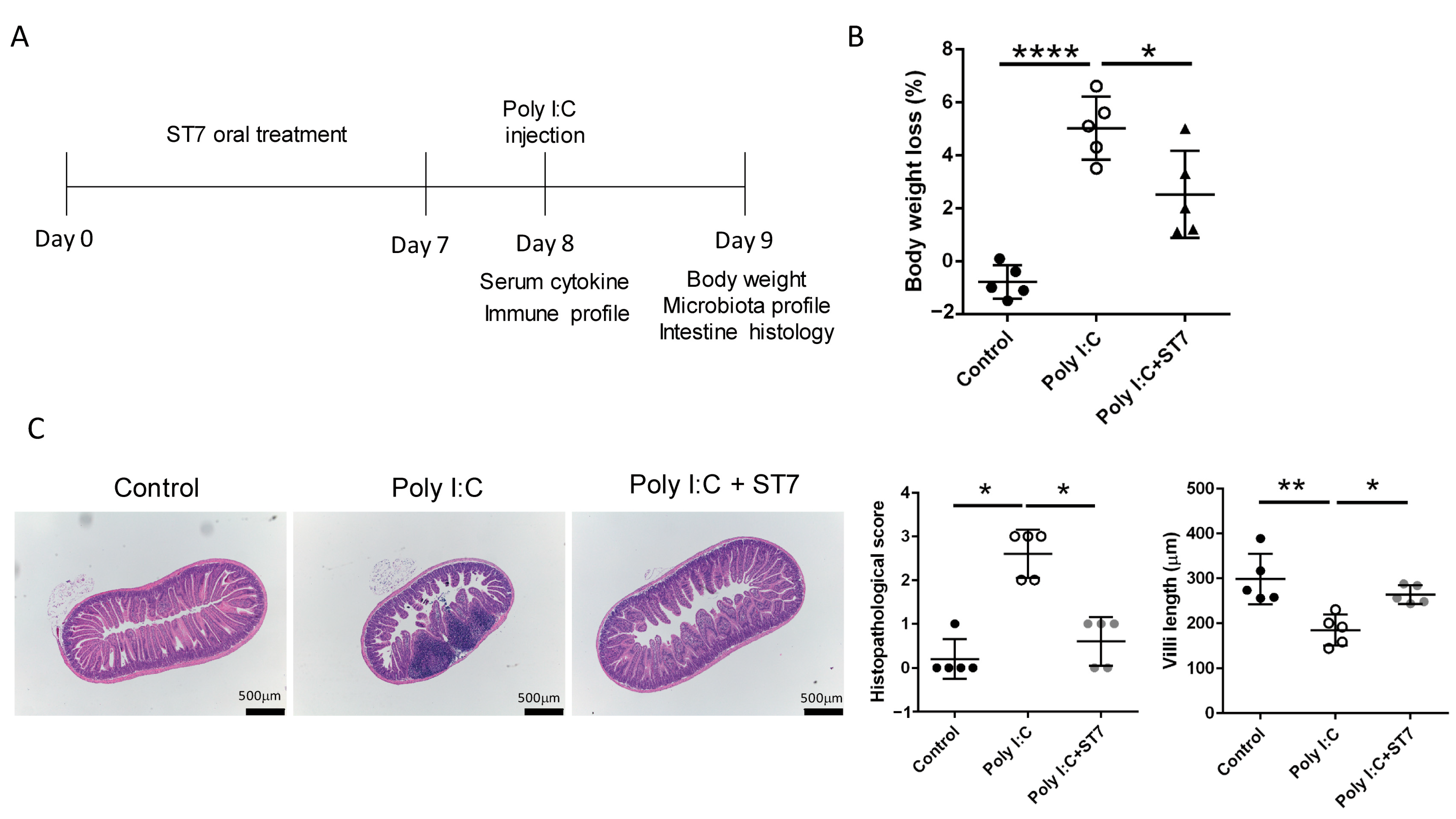 Microorganisms 11 00278 g001