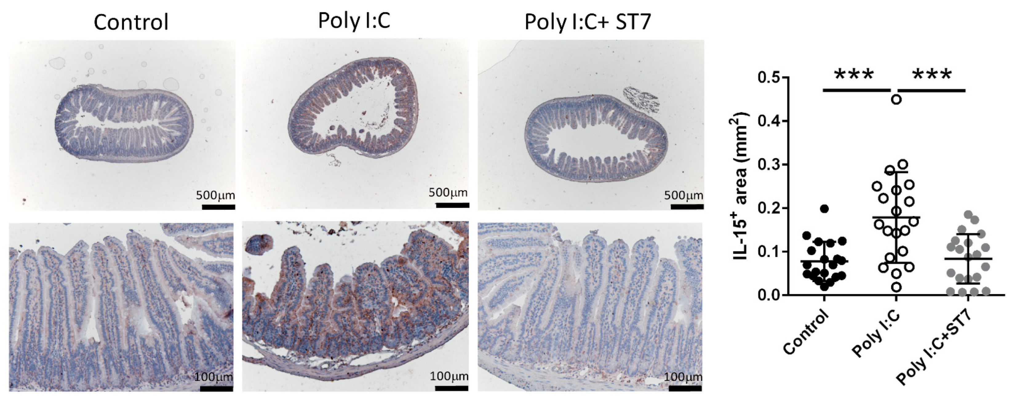 Microorganisms 11 00278 g003