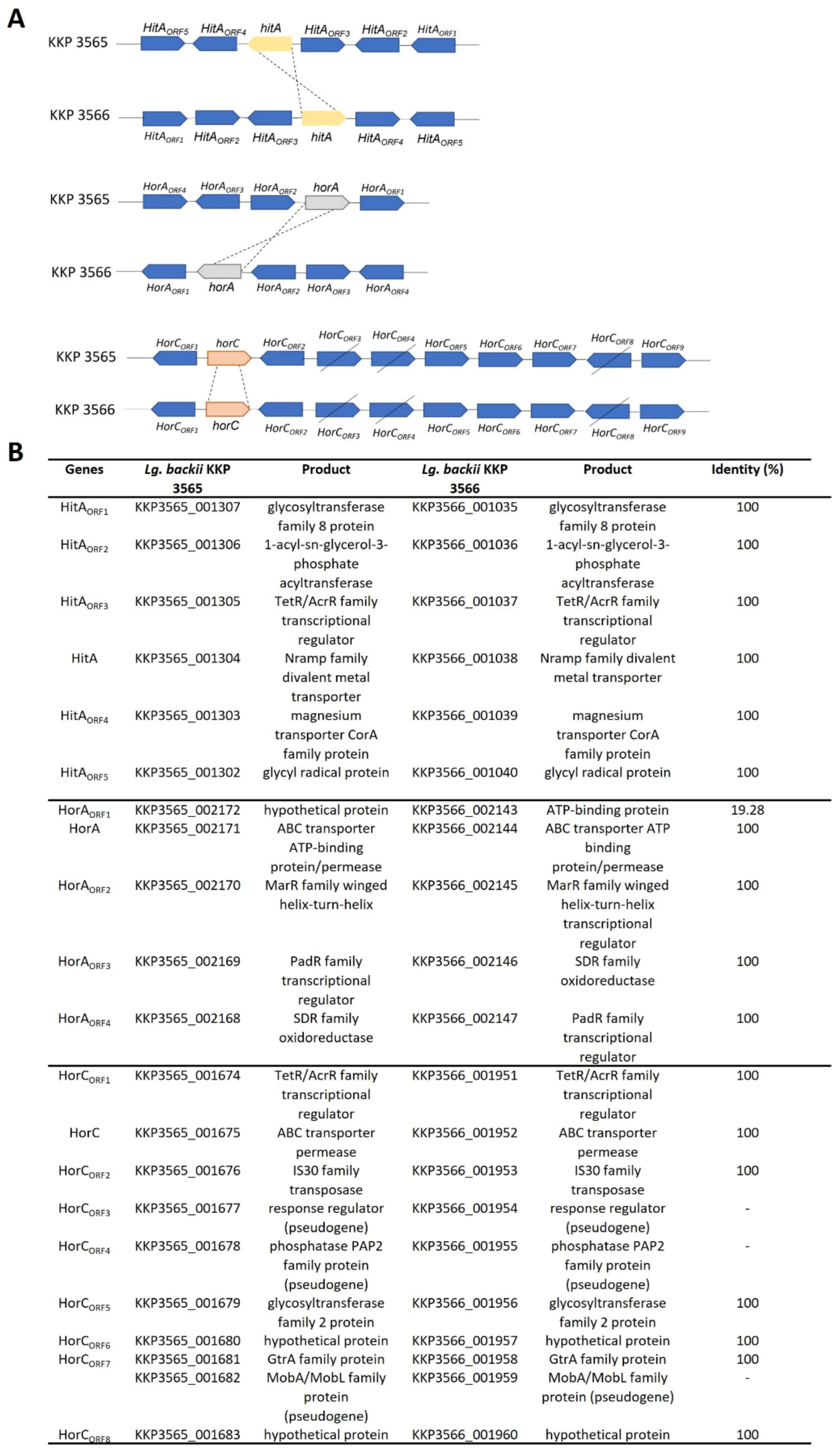 Microorganisms 11 00280 g004