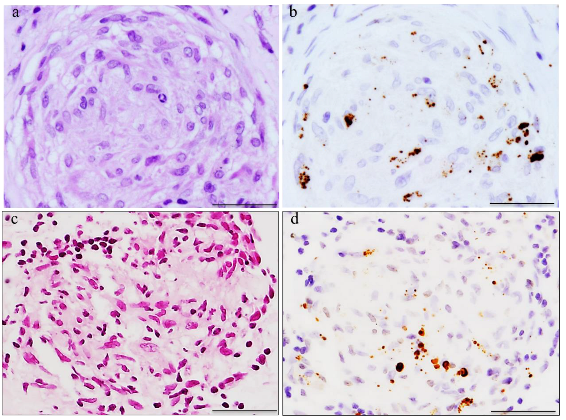 Microorganisms 11 00289 g001