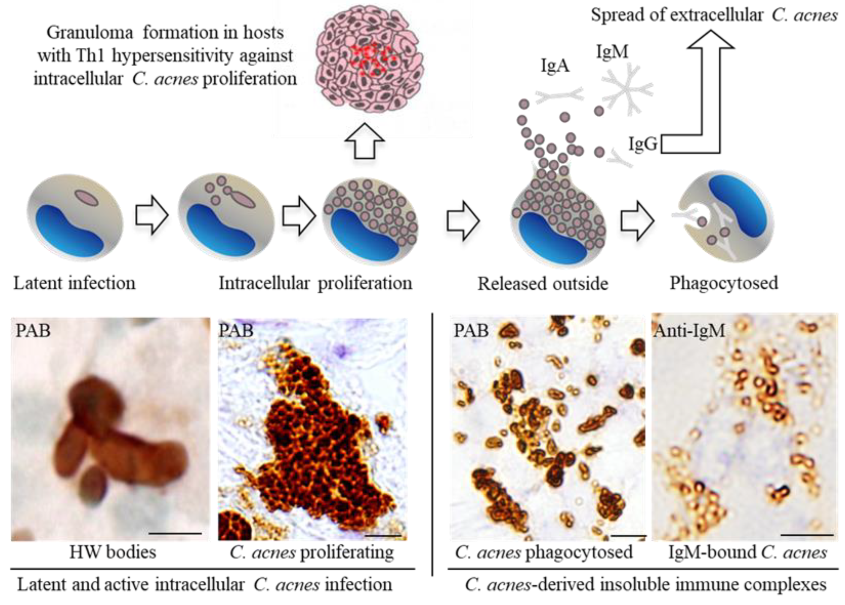 Microorganisms 11 00289 g004