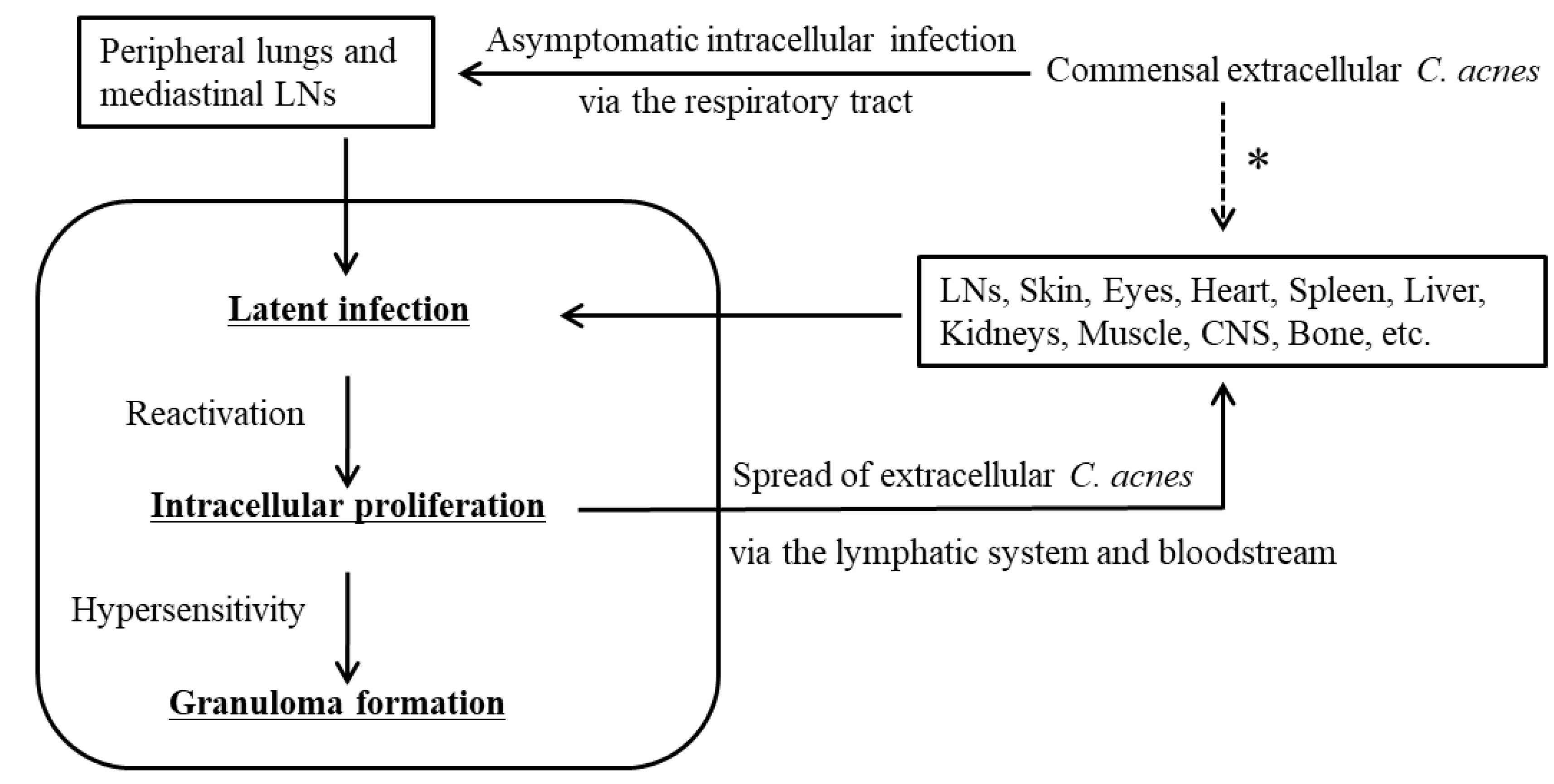 Microorganisms 11 00289 g005
