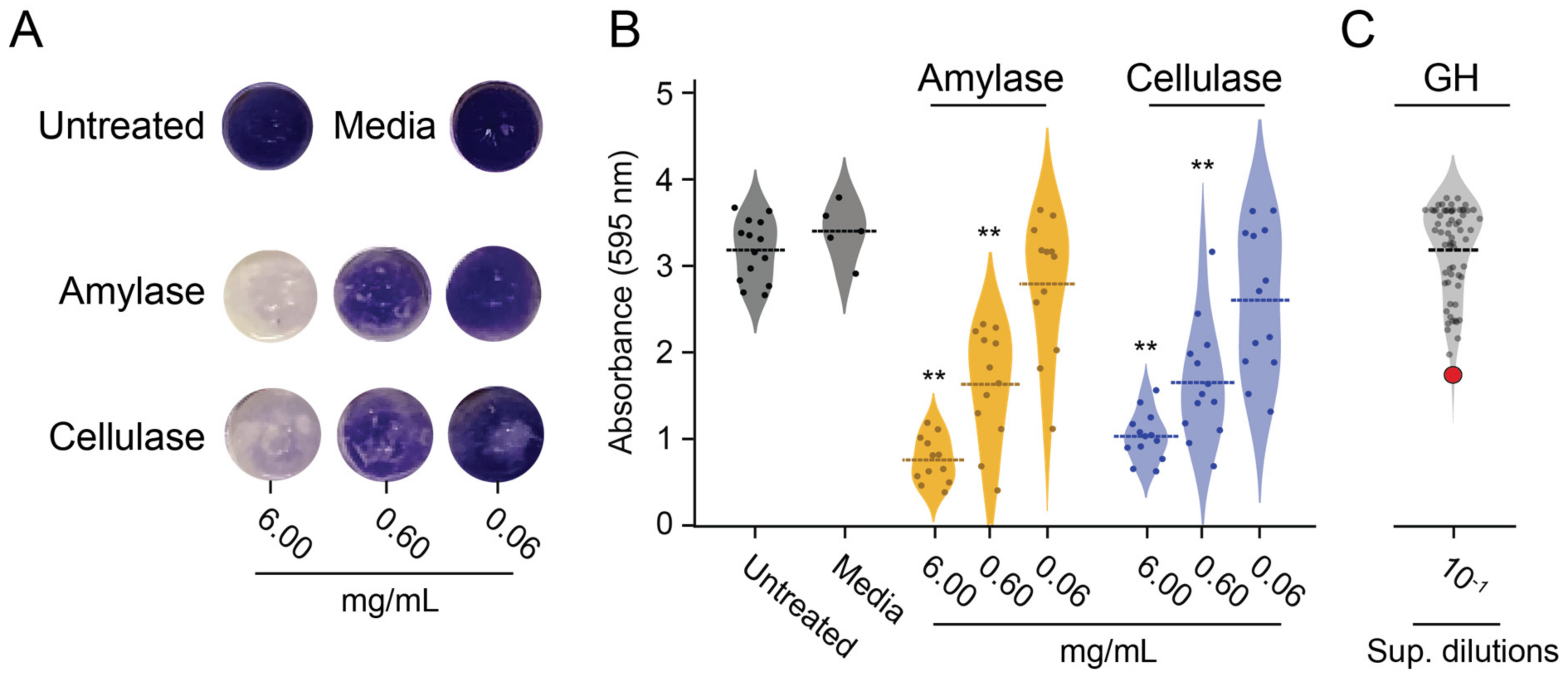 Microorganisms 11 00293 g002