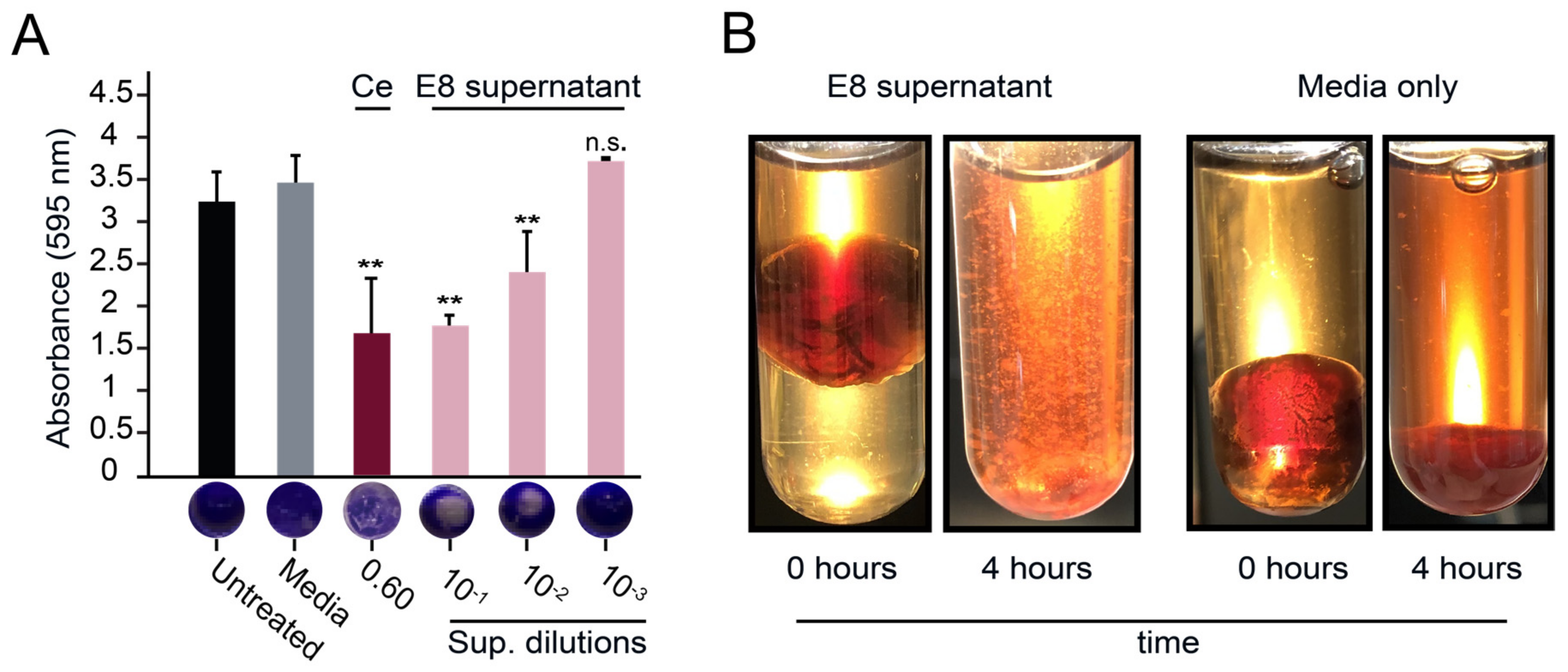 Microorganisms 11 00293 g003