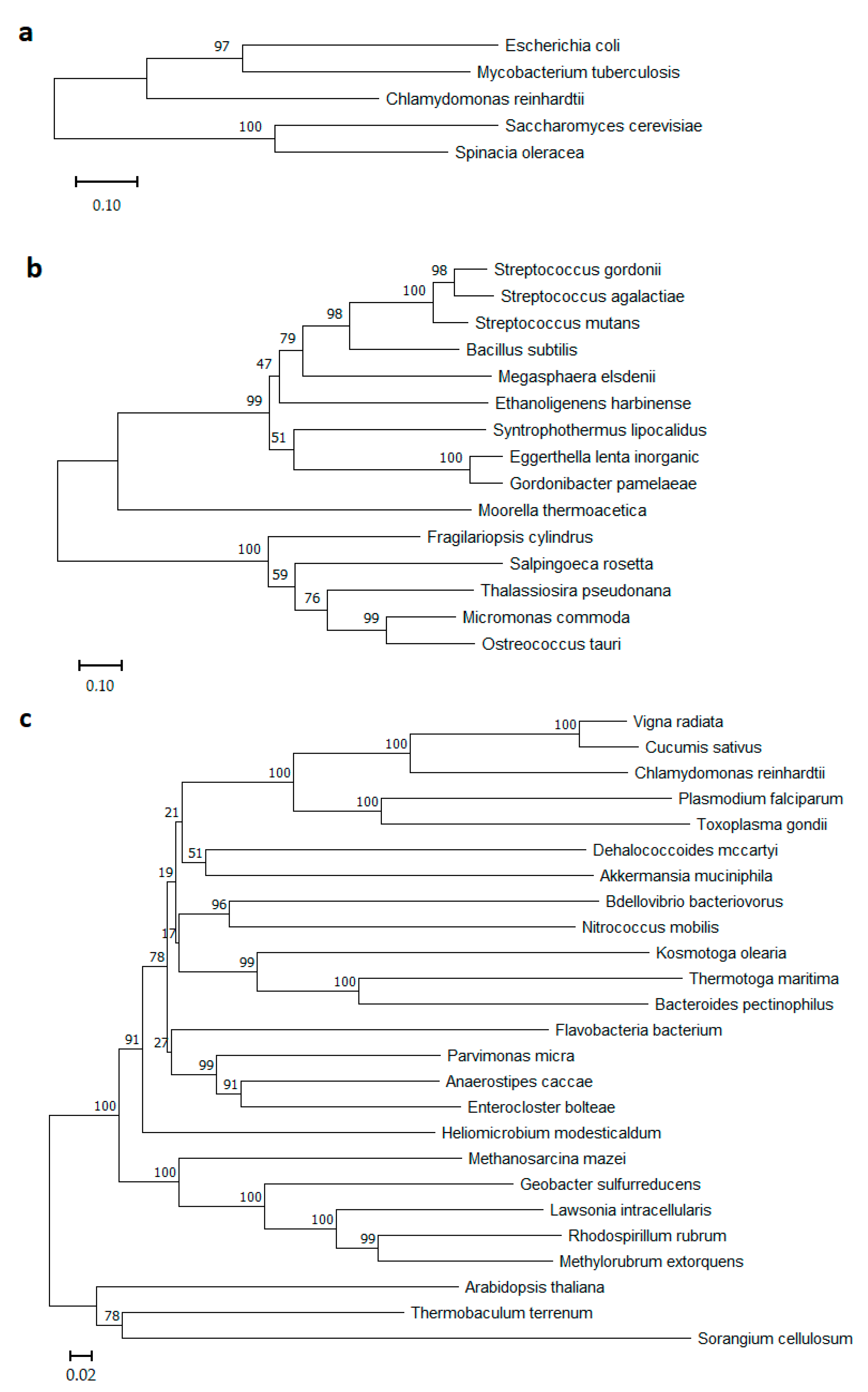 Microorganisms 11 00294 g001