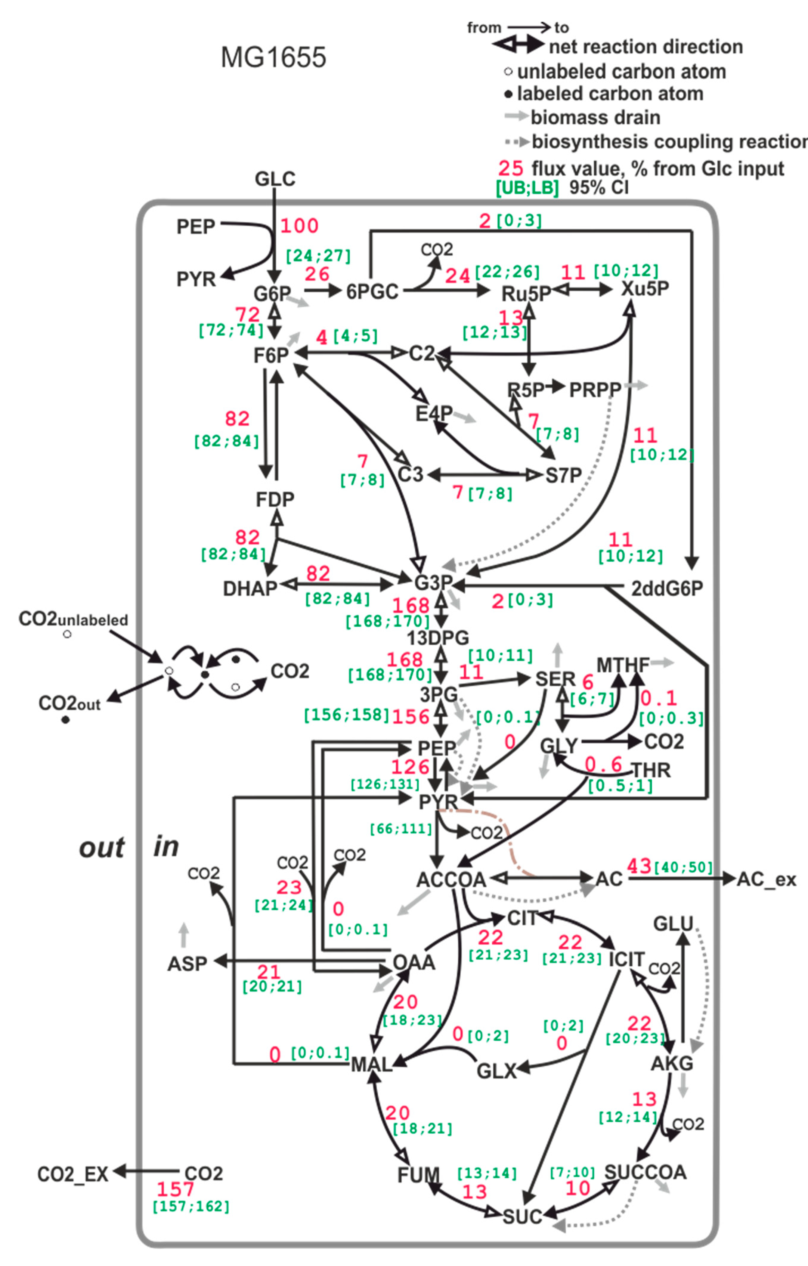 Microorganisms 11 00294 g006
