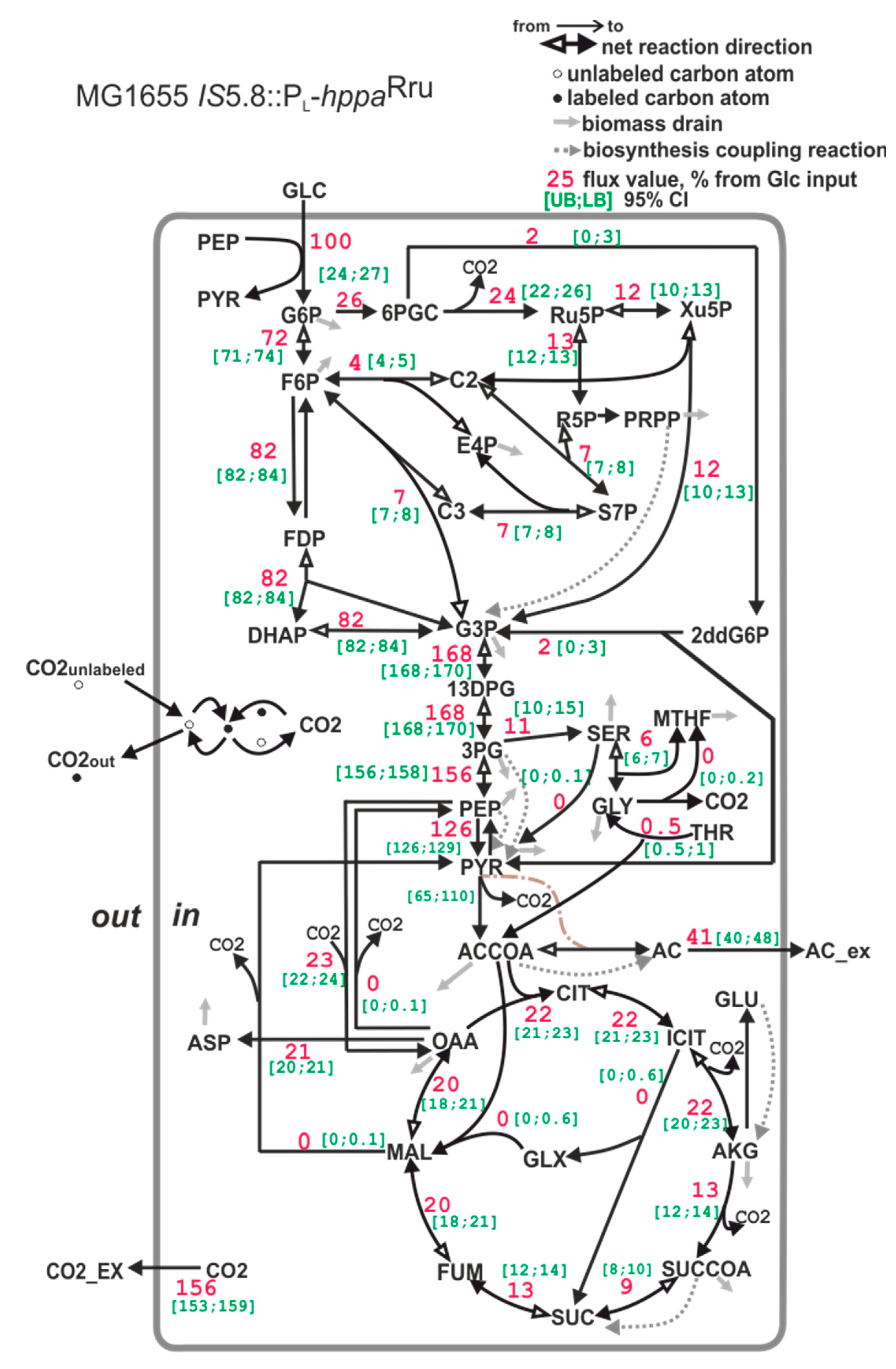 Microorganisms 11 00294 g007
