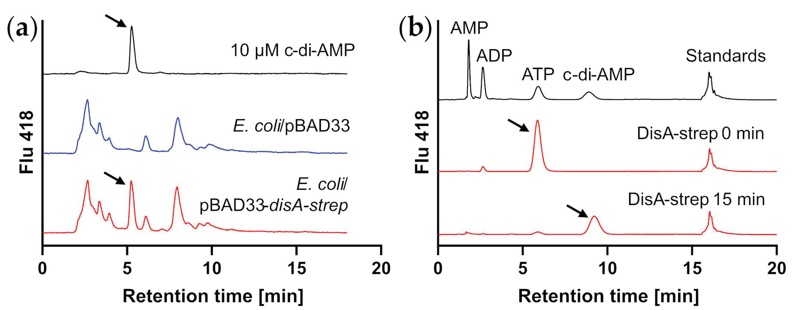 Microorganisms 11 00296 g001