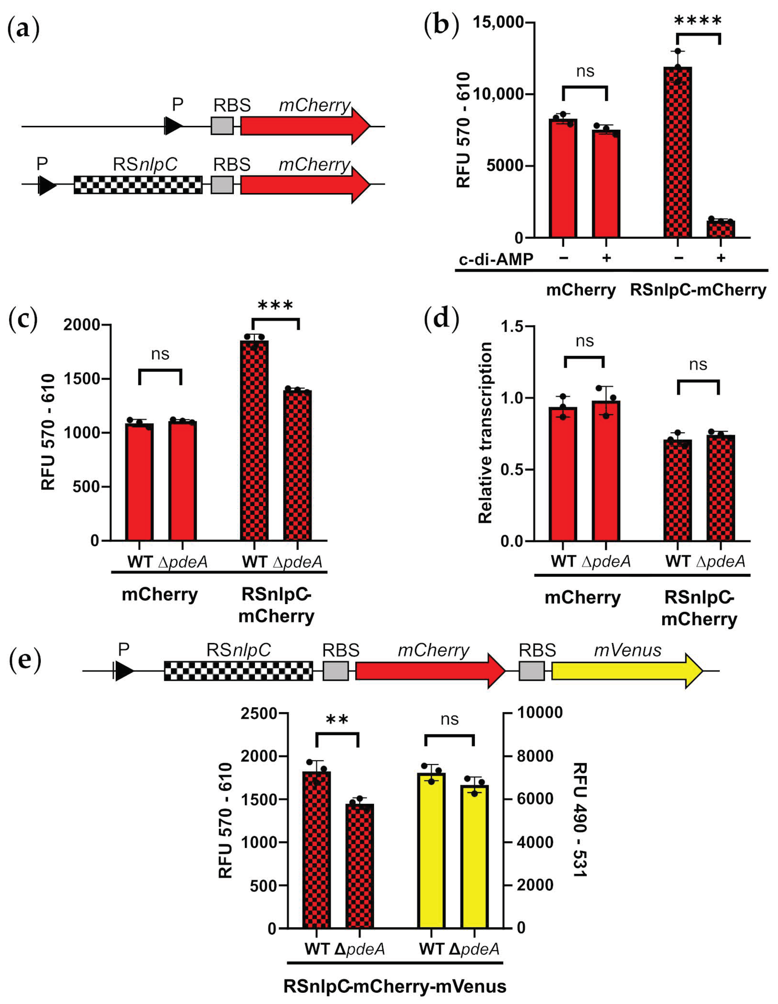 Microorganisms 11 00296 g003