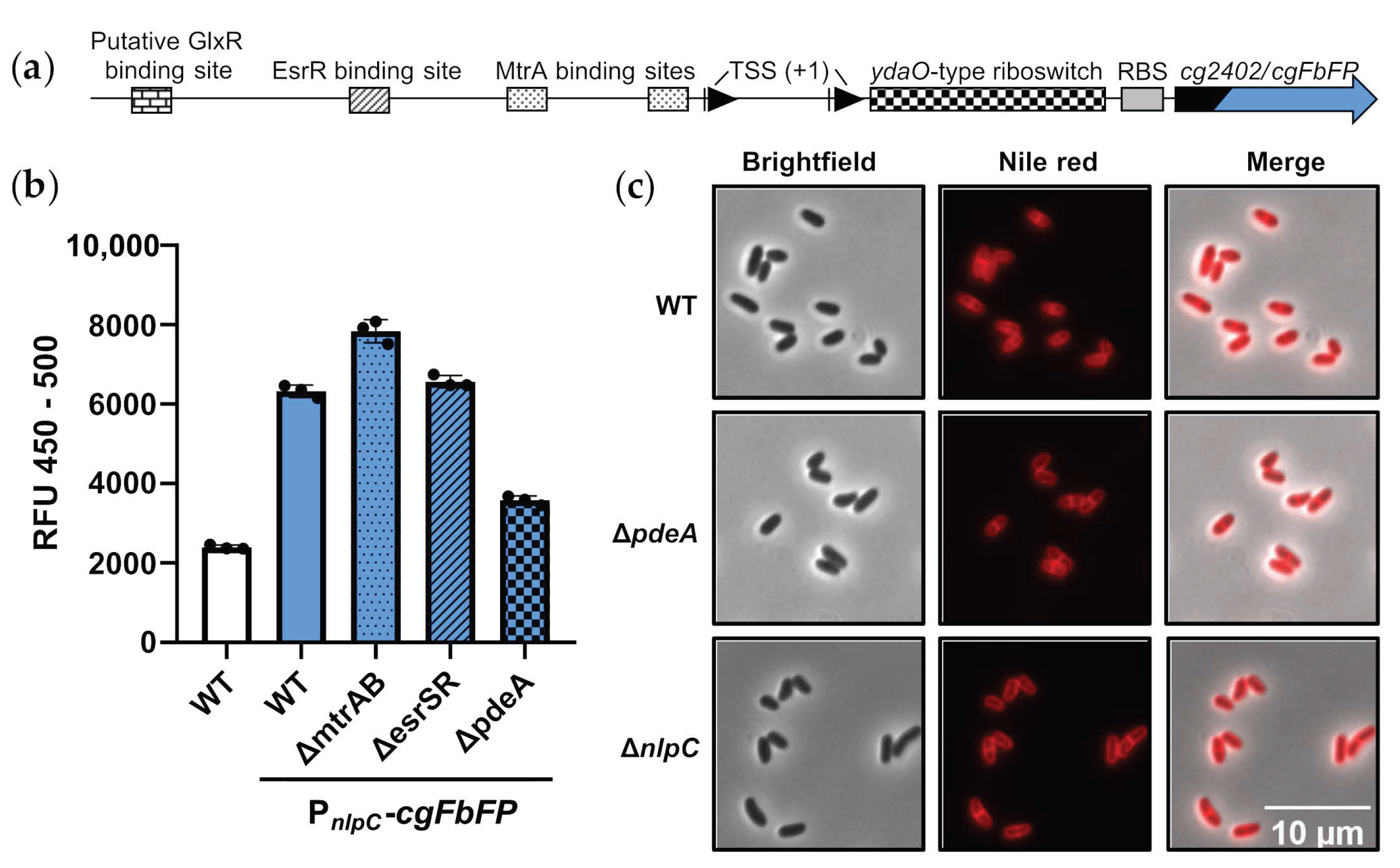 Microorganisms 11 00296 g004