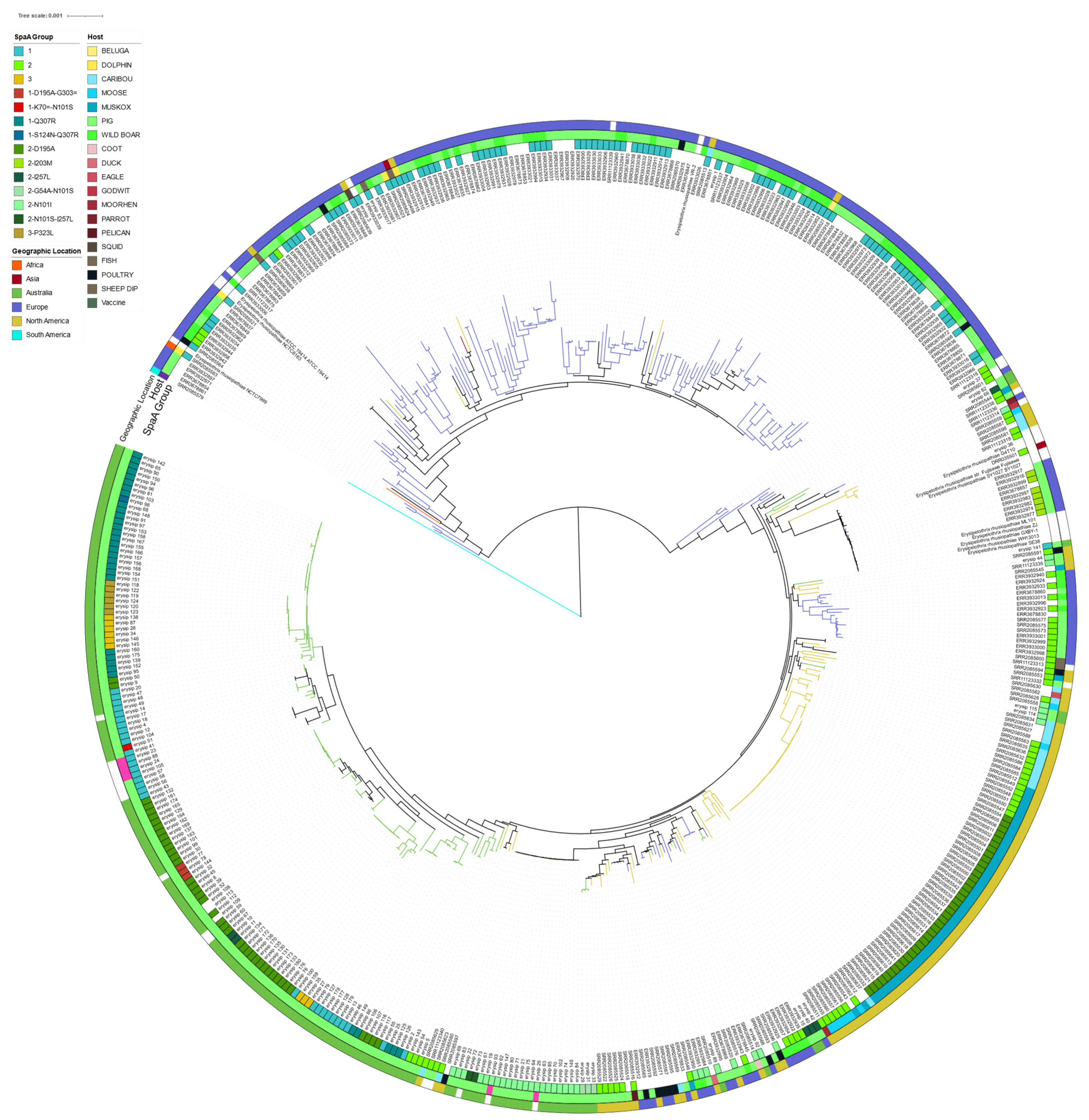 Microorganisms 11 00297 g002