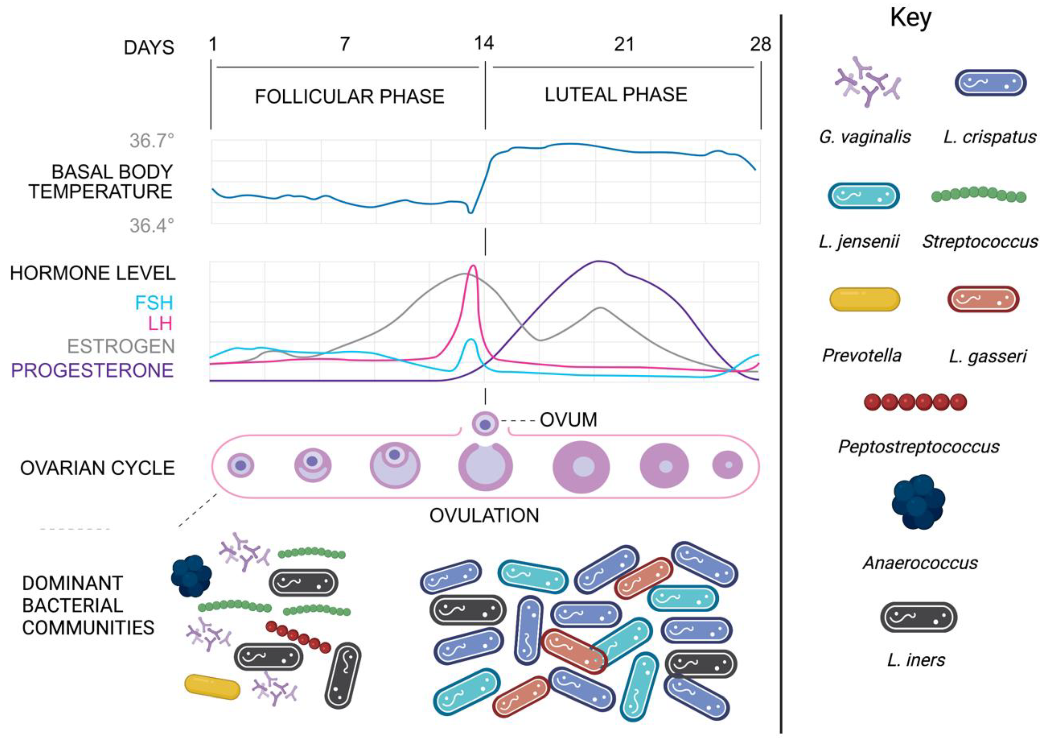Microorganisms 11 00298 g001