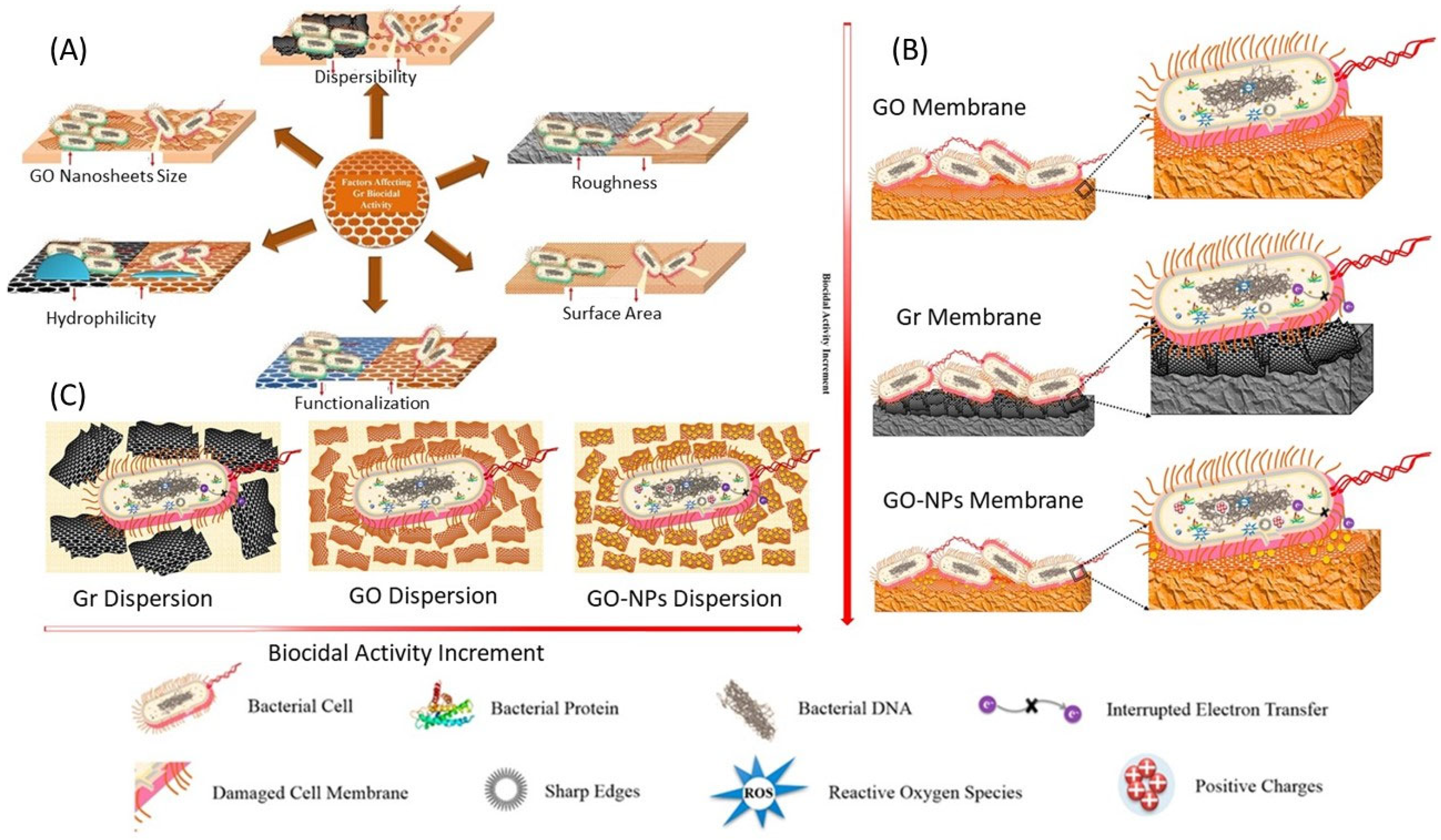 Microorganisms 11 00310 g005
