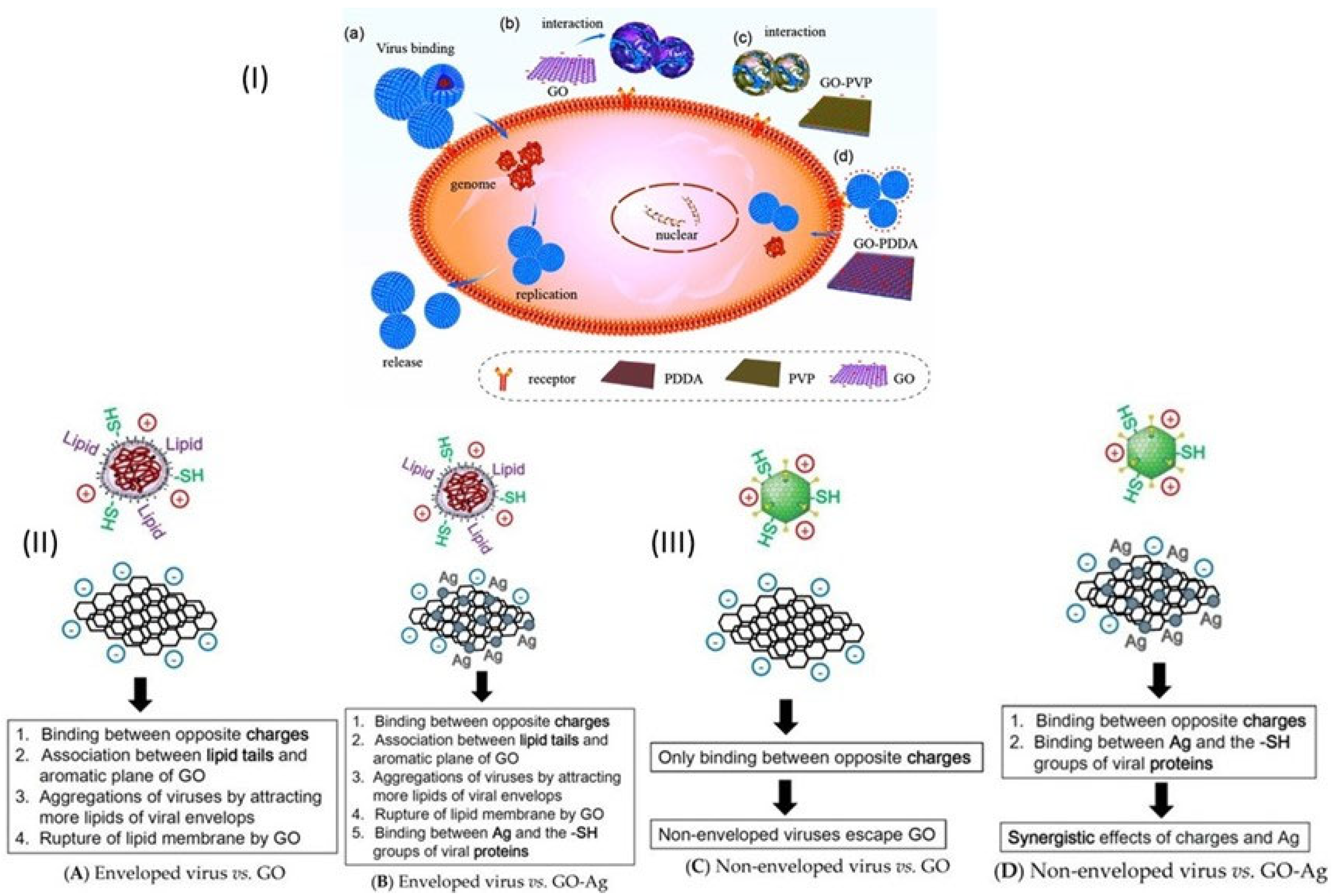 Microorganisms 11 00310 g006