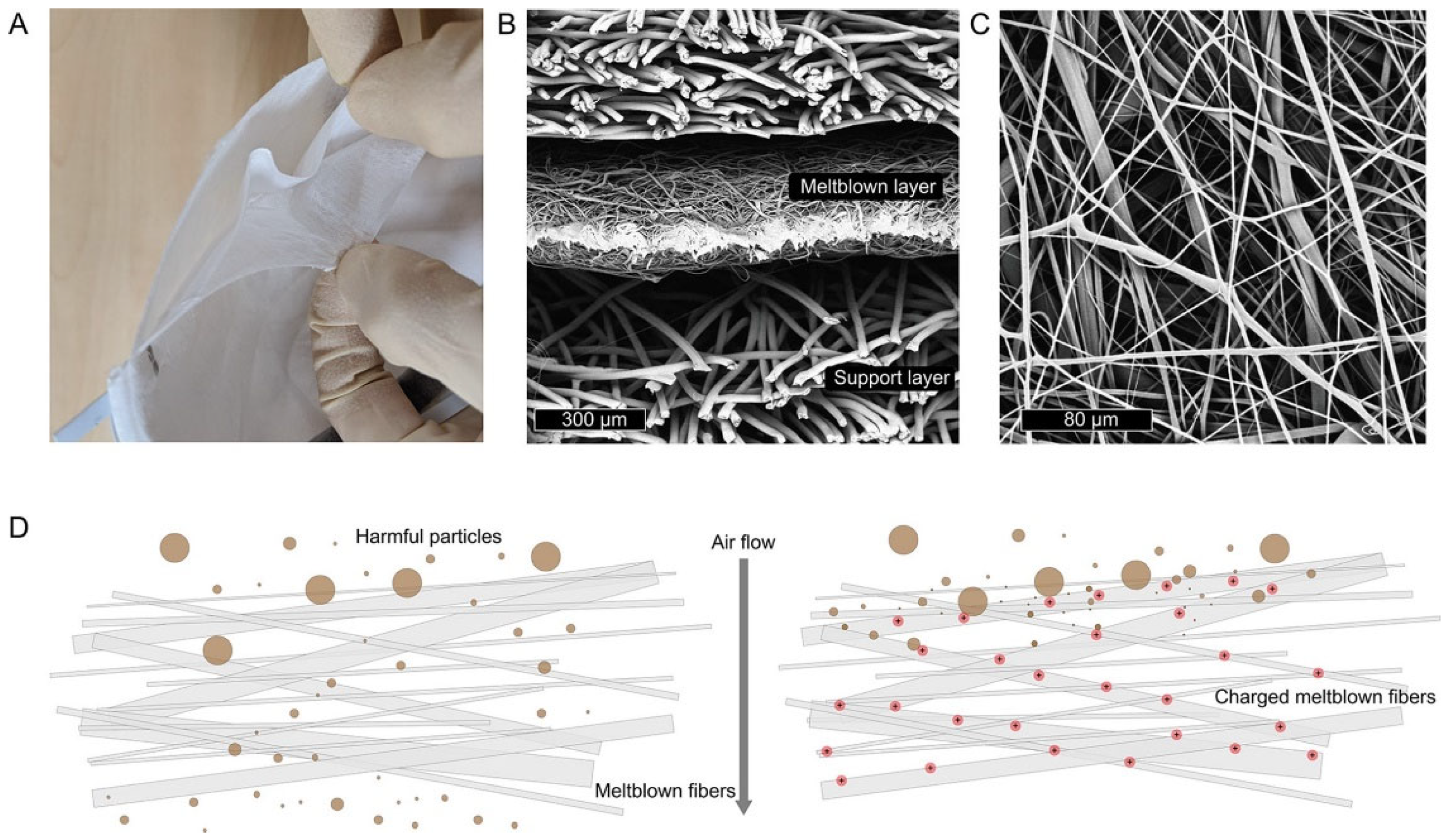 Microorganisms 11 00310 g007